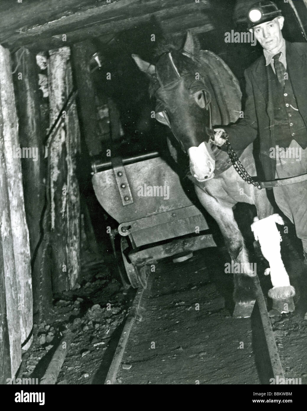 Kohle-Bergbau - Avon Zeche, Glamorgan, Südwales, 1946. Hufschmied David Owen führt einem verletzten Pferd Ägypten aus der mine Stockfoto