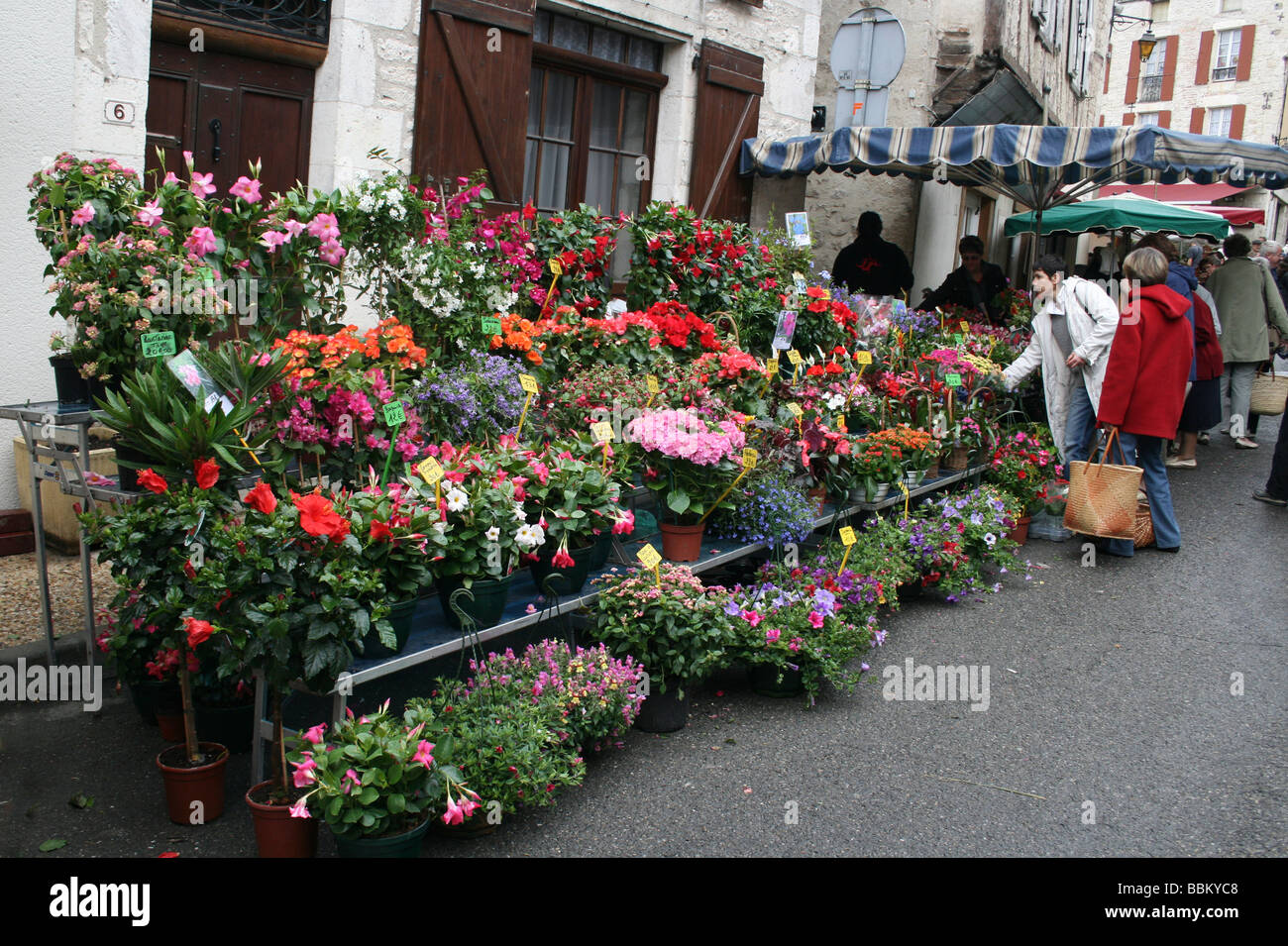 Blume-Stall In einem traditionellen französischen Markt an Montcuq, Lot, Midi-Pyrénées, Frankreich Stockfoto