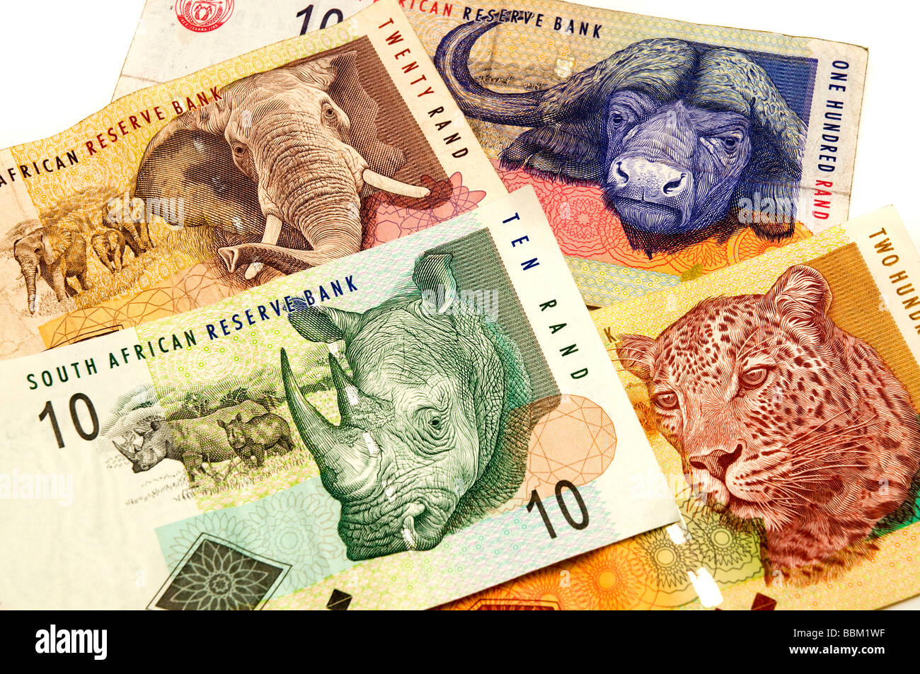 Schuss von einigen südafrikanischen Banknoten hautnah Stockfoto