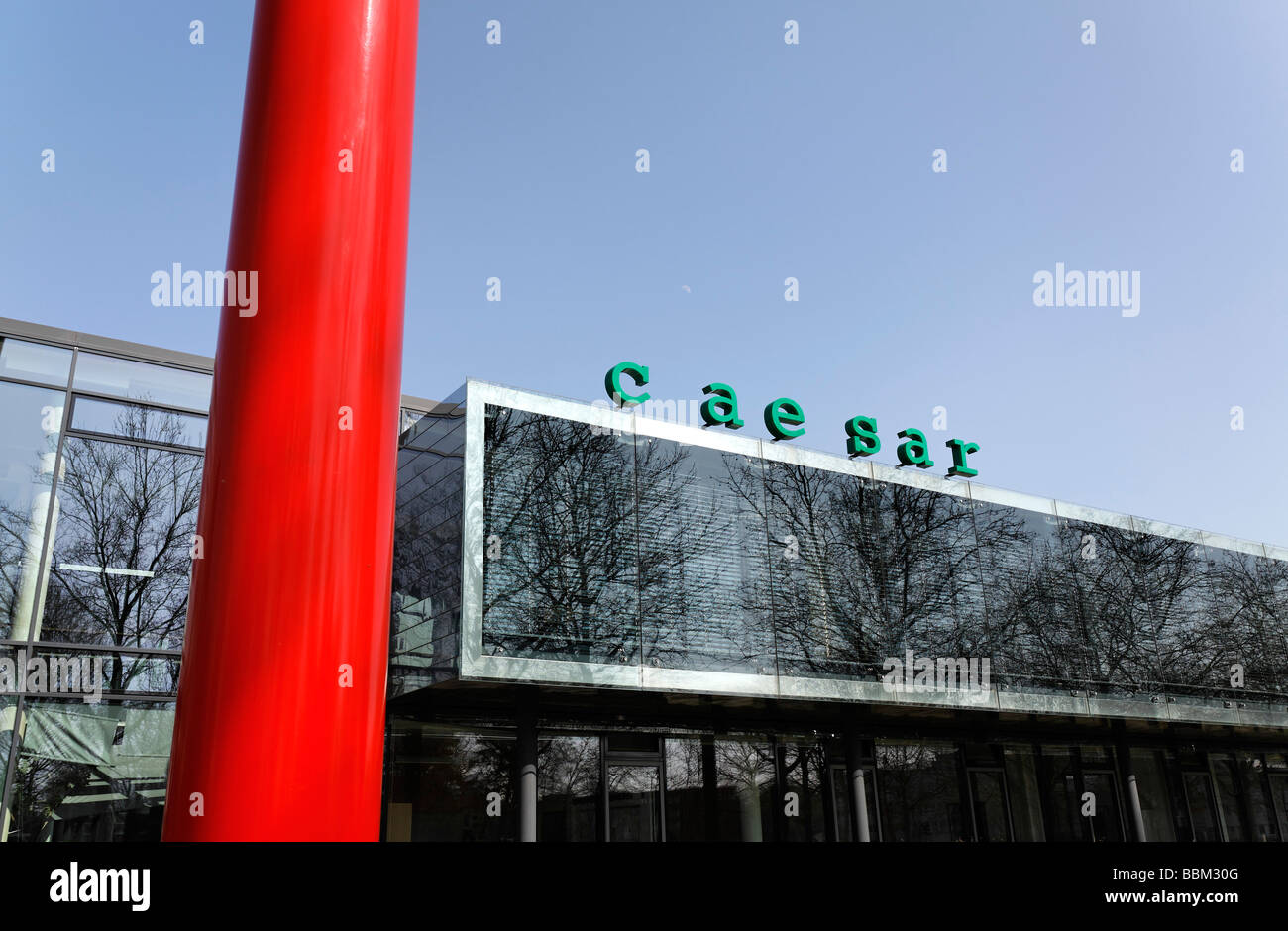 Forschung Zentrum Cäsar, Zentrum Andvanced Europäische Studien und Forschungsarbeiten, Rheinaue, Bonn, Nordrhein-Westfalen, Deutschland, Eur Stockfoto