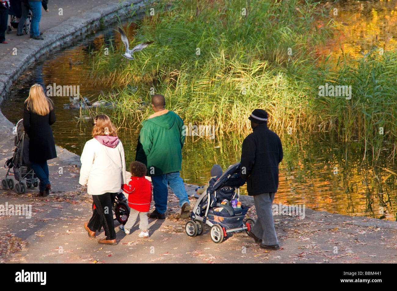 Multikulturelle Montreal, Menschen, die einen Spaziergang im Park Mont Royal Stockfoto