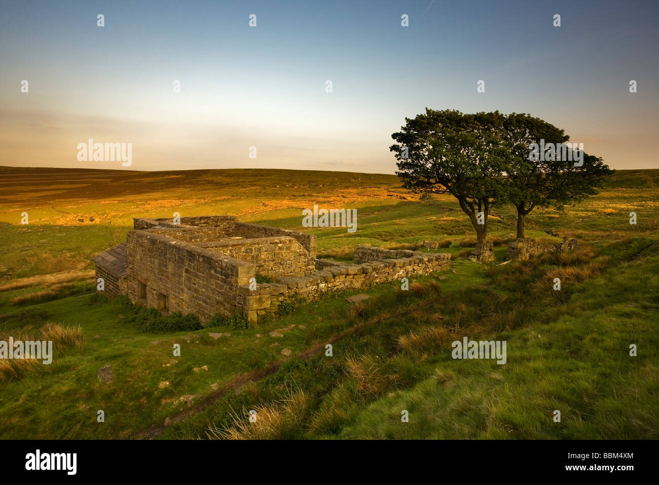 Top Withens, die Ruinen über Haworth Moor, sollen möglicherweise die Inspiration für Emily Brontes Wuthering Heights. Stockfoto