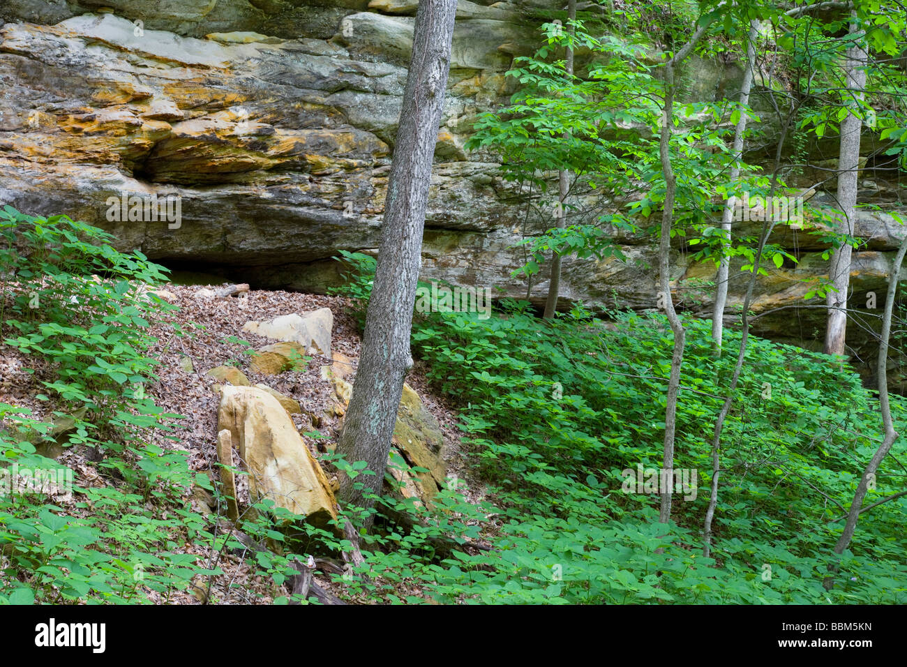 Sandstein Felsen, Woodman hohlen Zustand zu bewahren, Webster County, Iowa Stockfoto