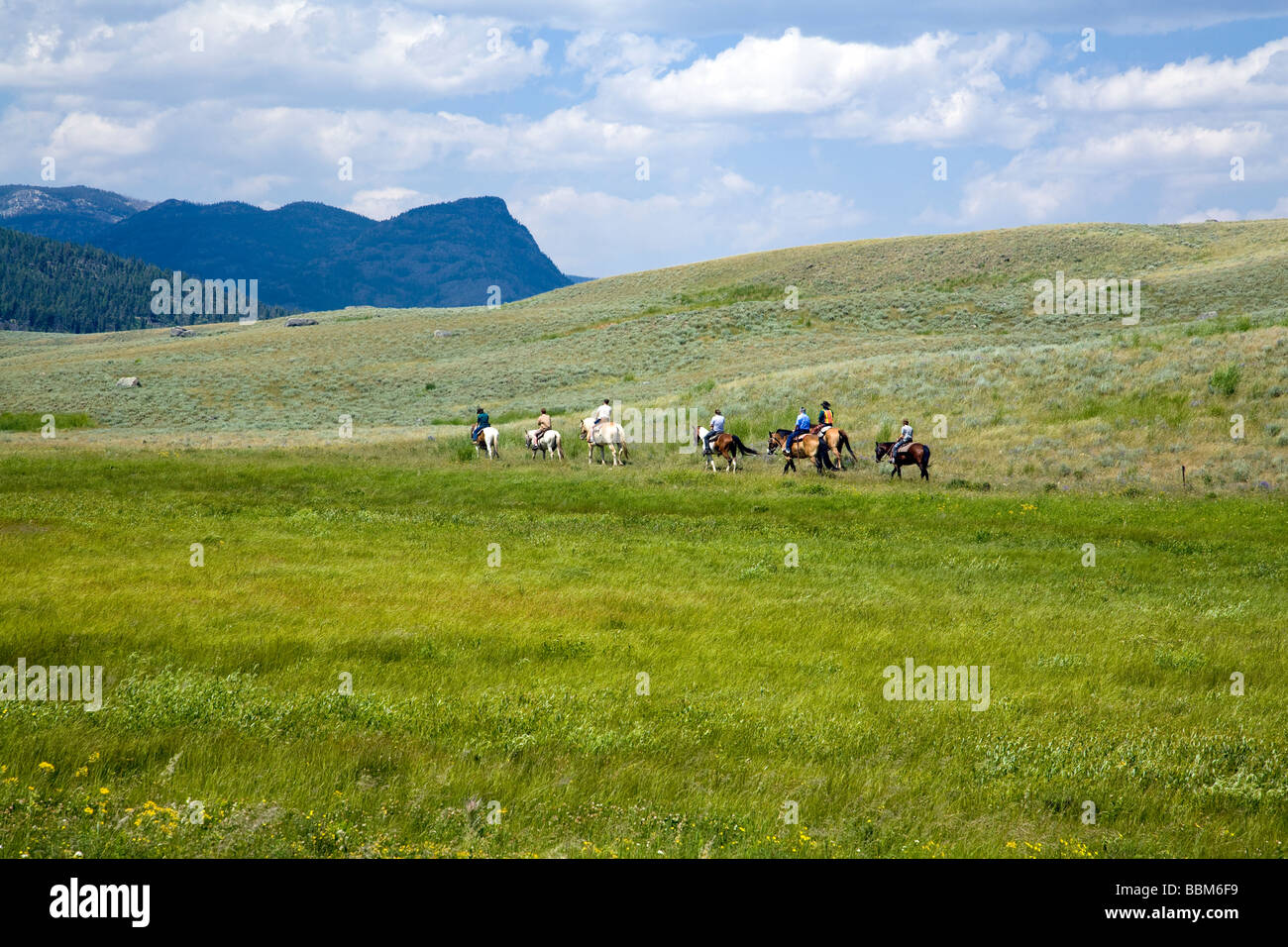 Menschen auf einen Ausritt im Yellowstone National Park. Stockfoto