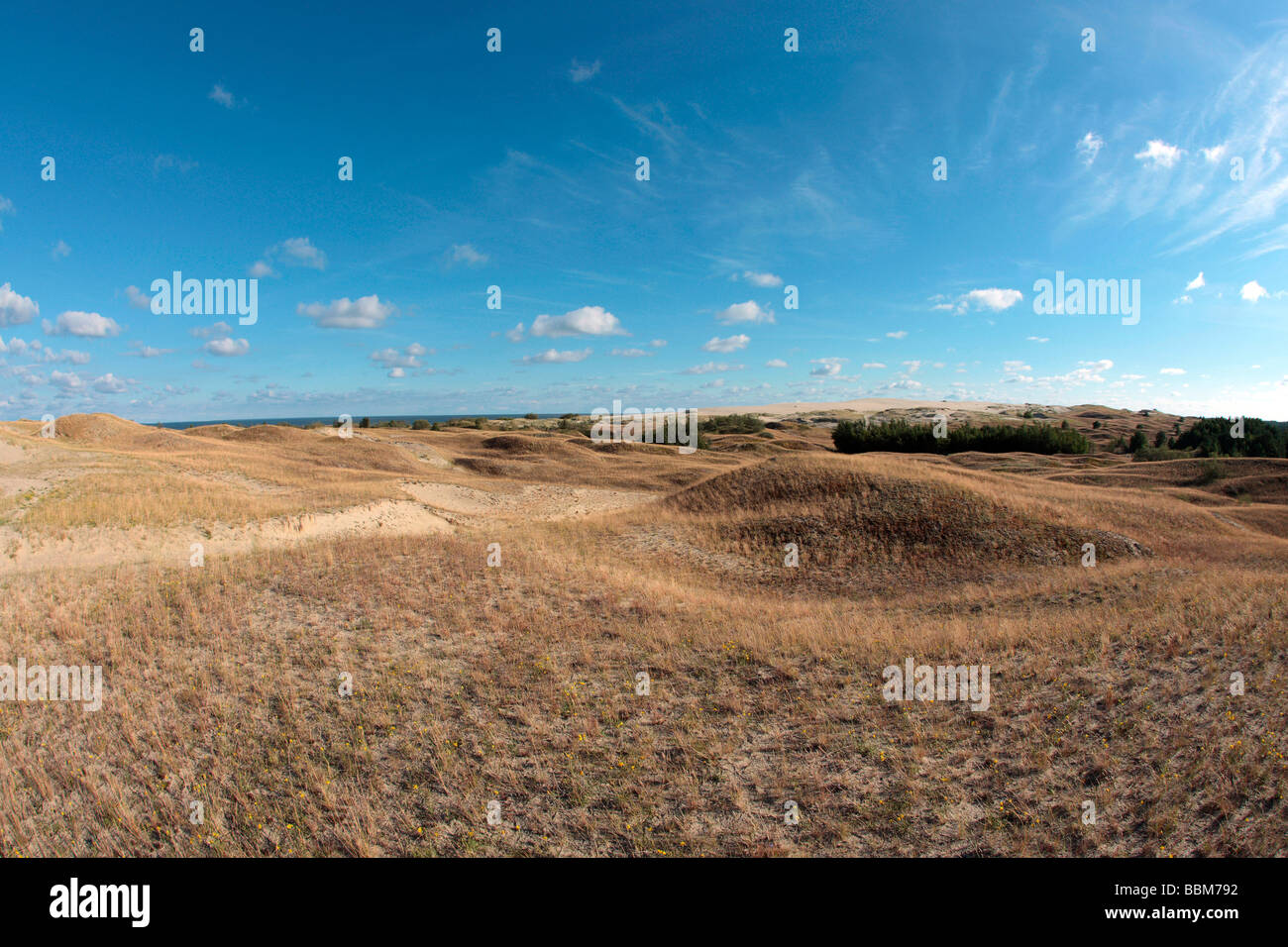 Weiten Dünenlandschaft, Tal des Schweigens, Kuroeiu Nerija Nationalpark auf der Kurischen Nehrung in Litauen Stockfoto