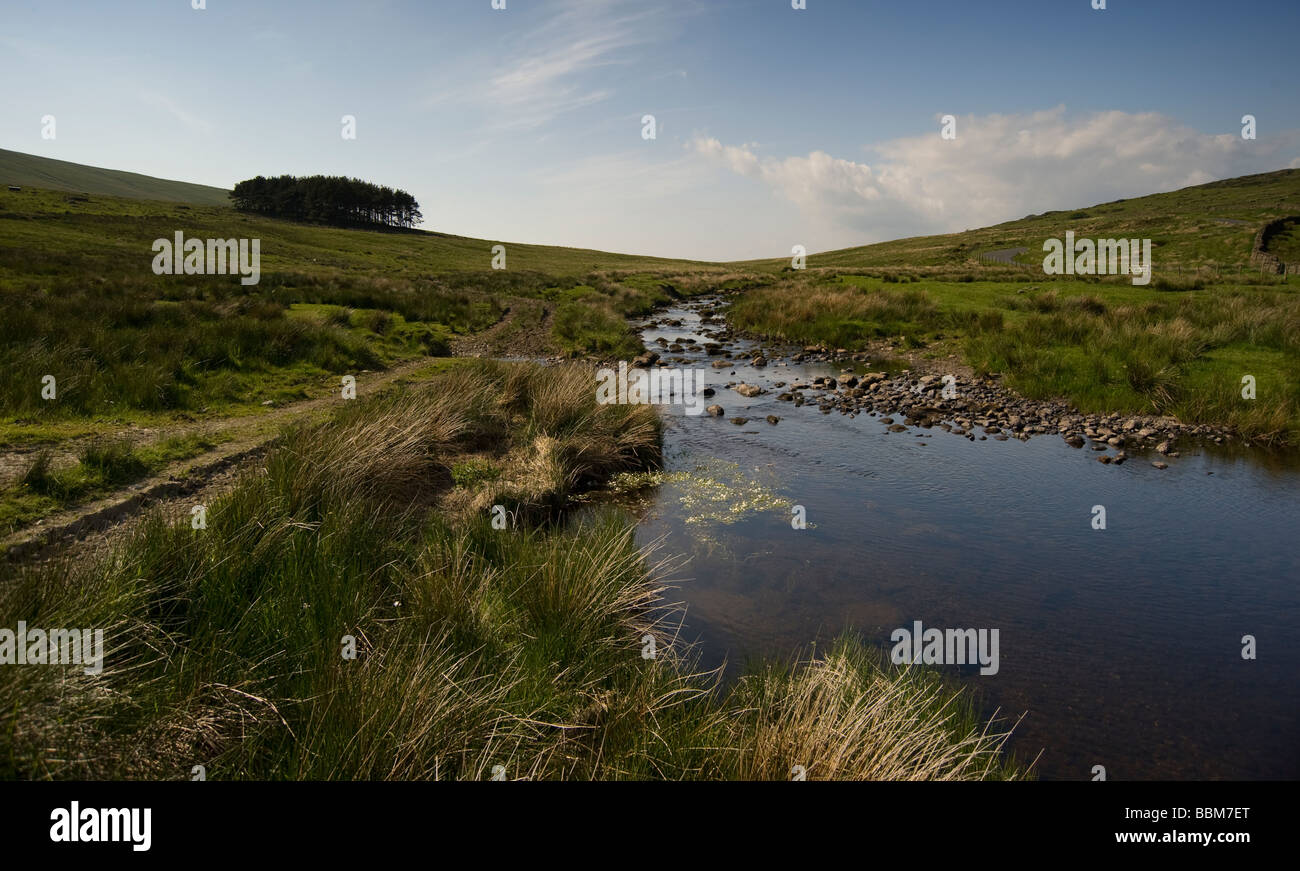 Blick über Ulpha fiel, die Seenplatte Vereinigtes Königreich Stockfoto