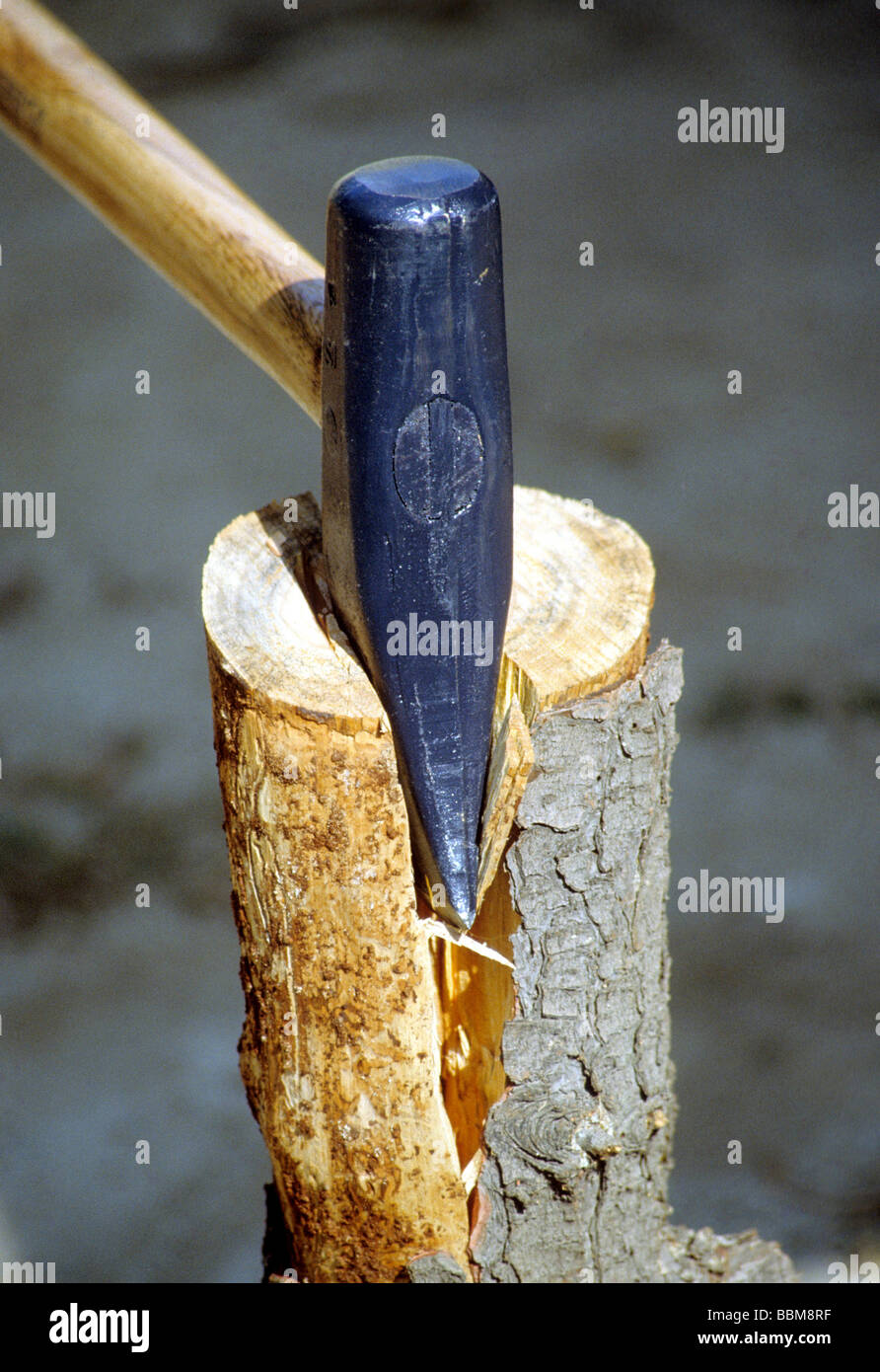Axt Keil Dechsel Hammer Schlitten teilen Log Holz schneiden hacken Holz Baum Maschine Stockfoto