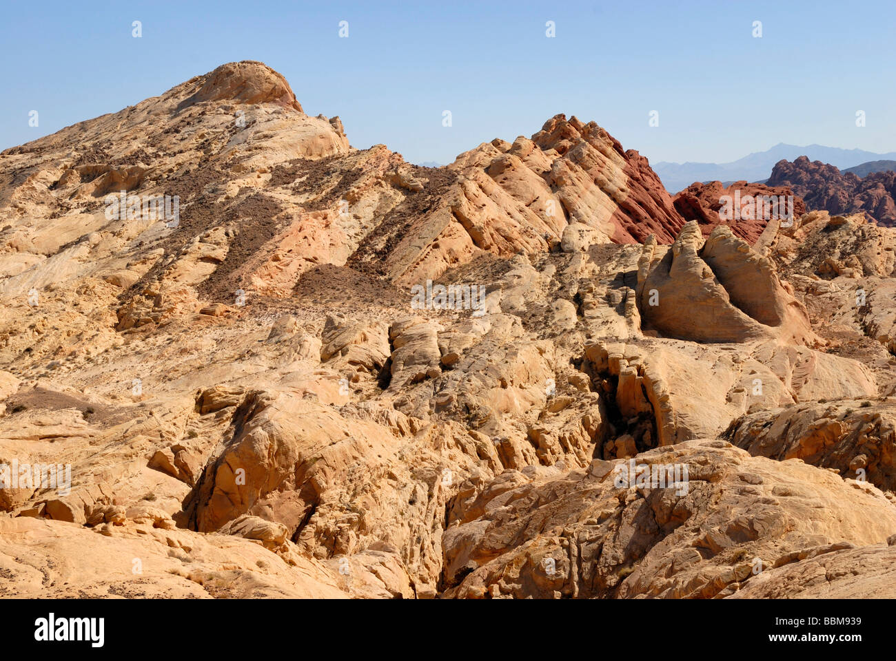 Kieselsäure Kuppel, Valley of Fire State Park, Nevada, USA Stockfoto