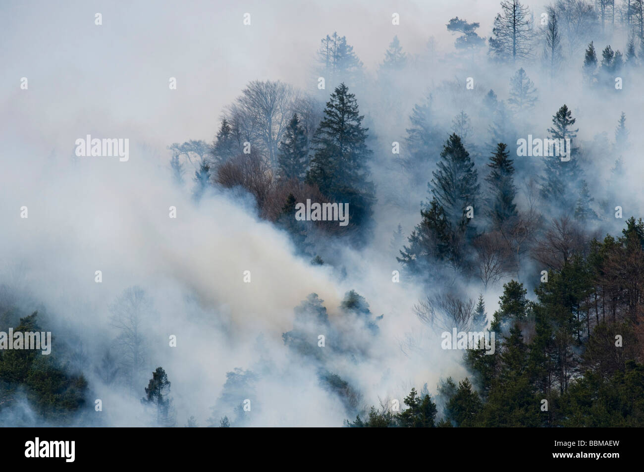 Waldbrand in der Region Karwendel bei Innsbruck, Tirol, Österreich Stockfoto