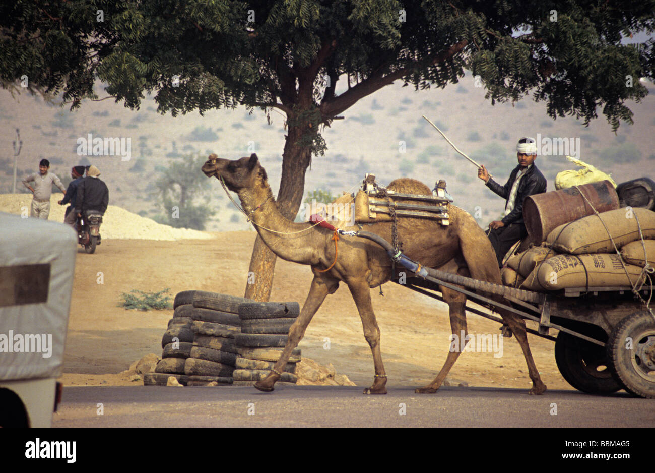 Kamel Wagen unterwegs, Rajasthan, Indien. Stockfoto