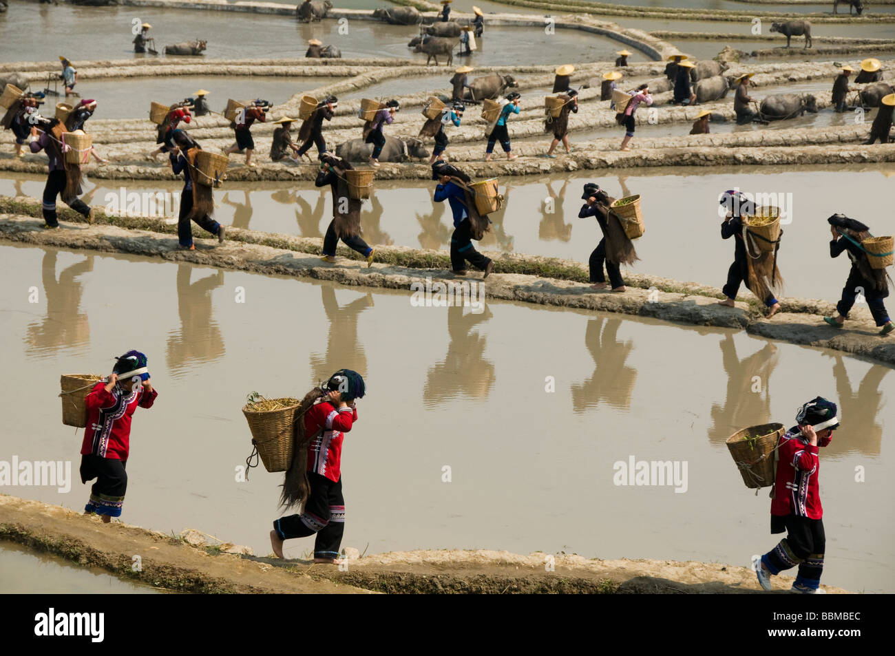 Hani Akha Frauen mit ihren Reiskörben in Yuanyang China Stockfoto