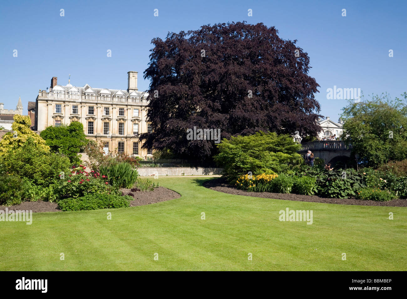 Die Fellows Garten, Clare College, Cambridge University, UK Stockfoto