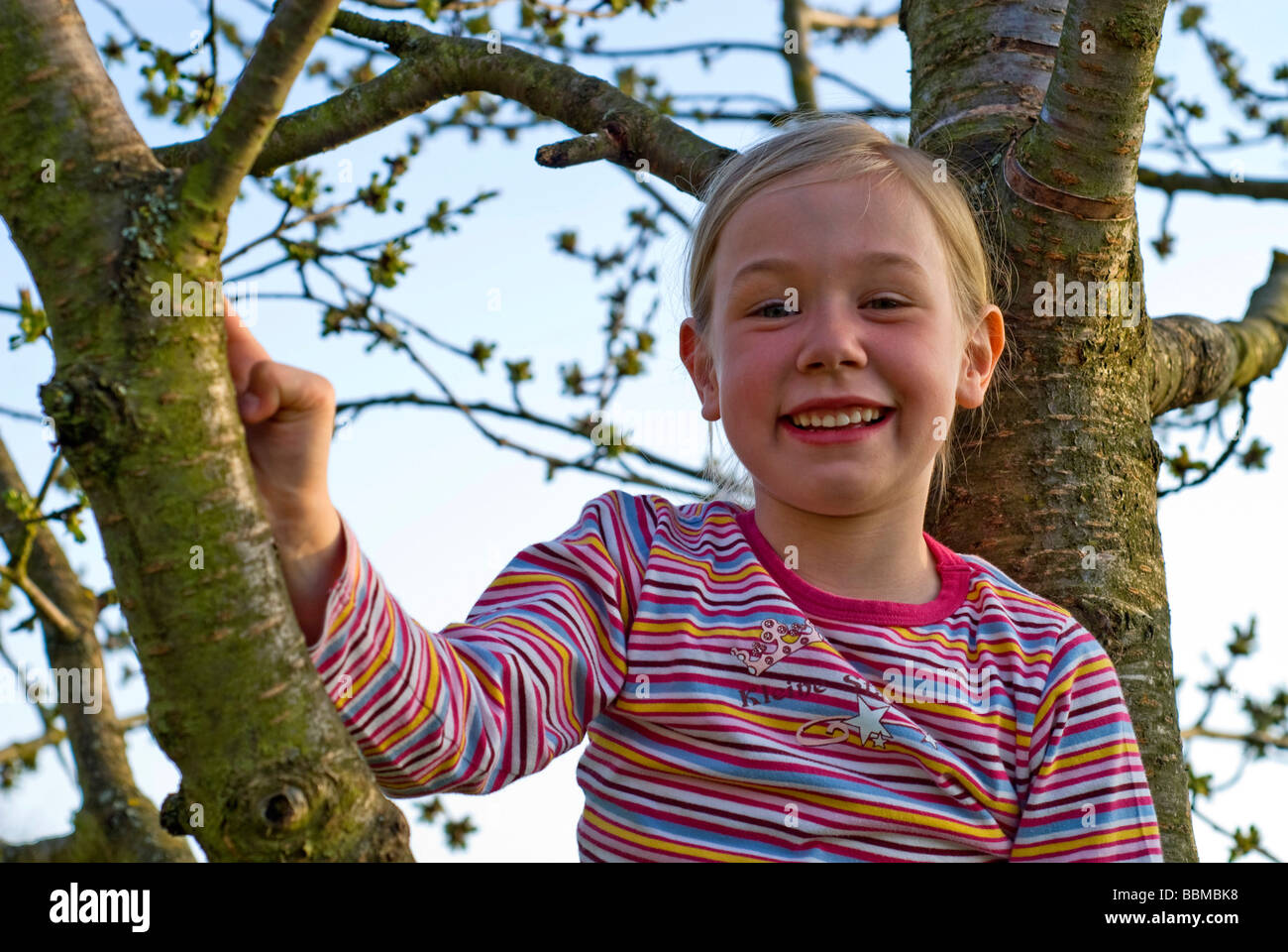 Mädchen, hat 6 Jahre in einem Kirschbaum bestiegen. Stockfoto