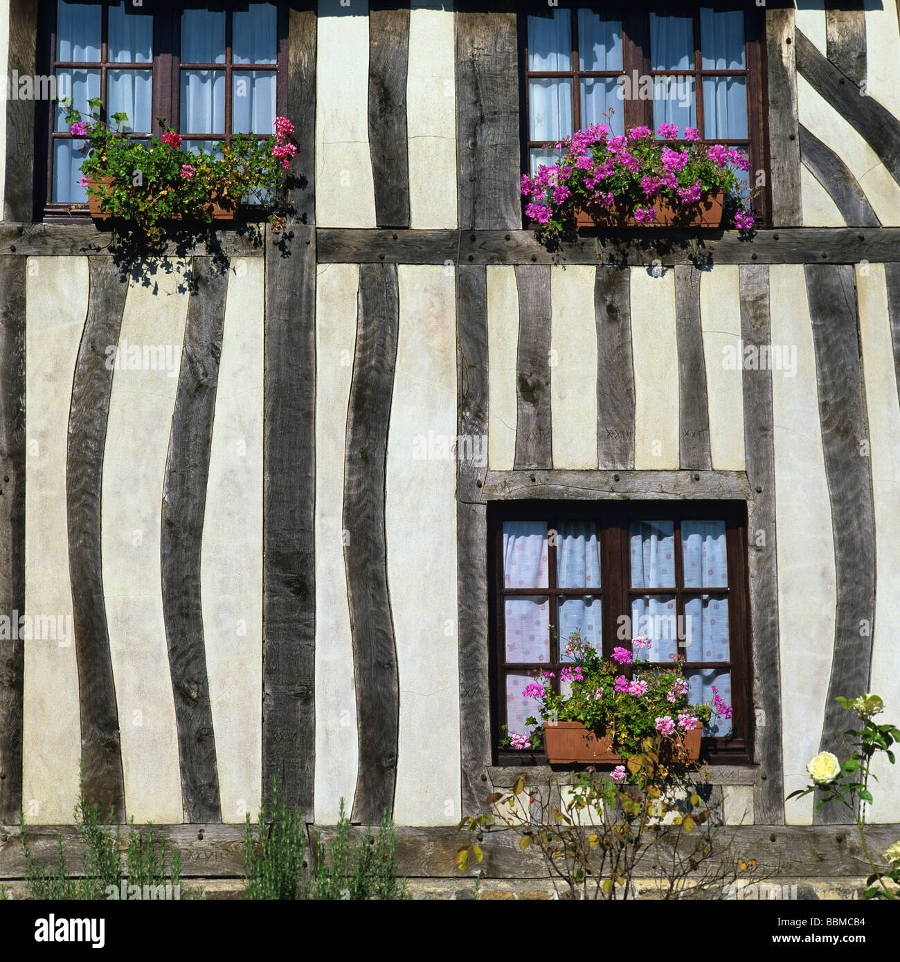 Traditionelle halbe Fachwerkhaus Front mit Blumen in der Normandie, Frankreich Stockfoto