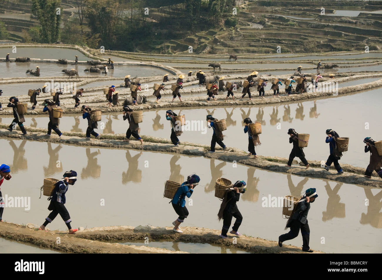 Hani Akha Frauen mit ihren Reiskörben in Yuanyang China Stockfoto