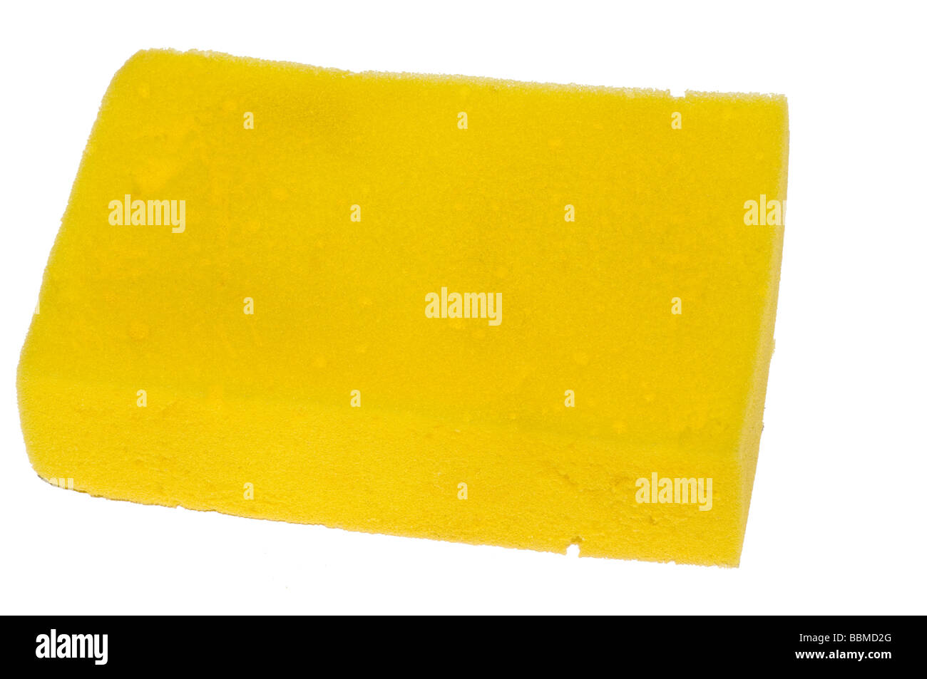 Gelbe Schwamm vor einem weißen Hintergrund isoliert Stockfoto