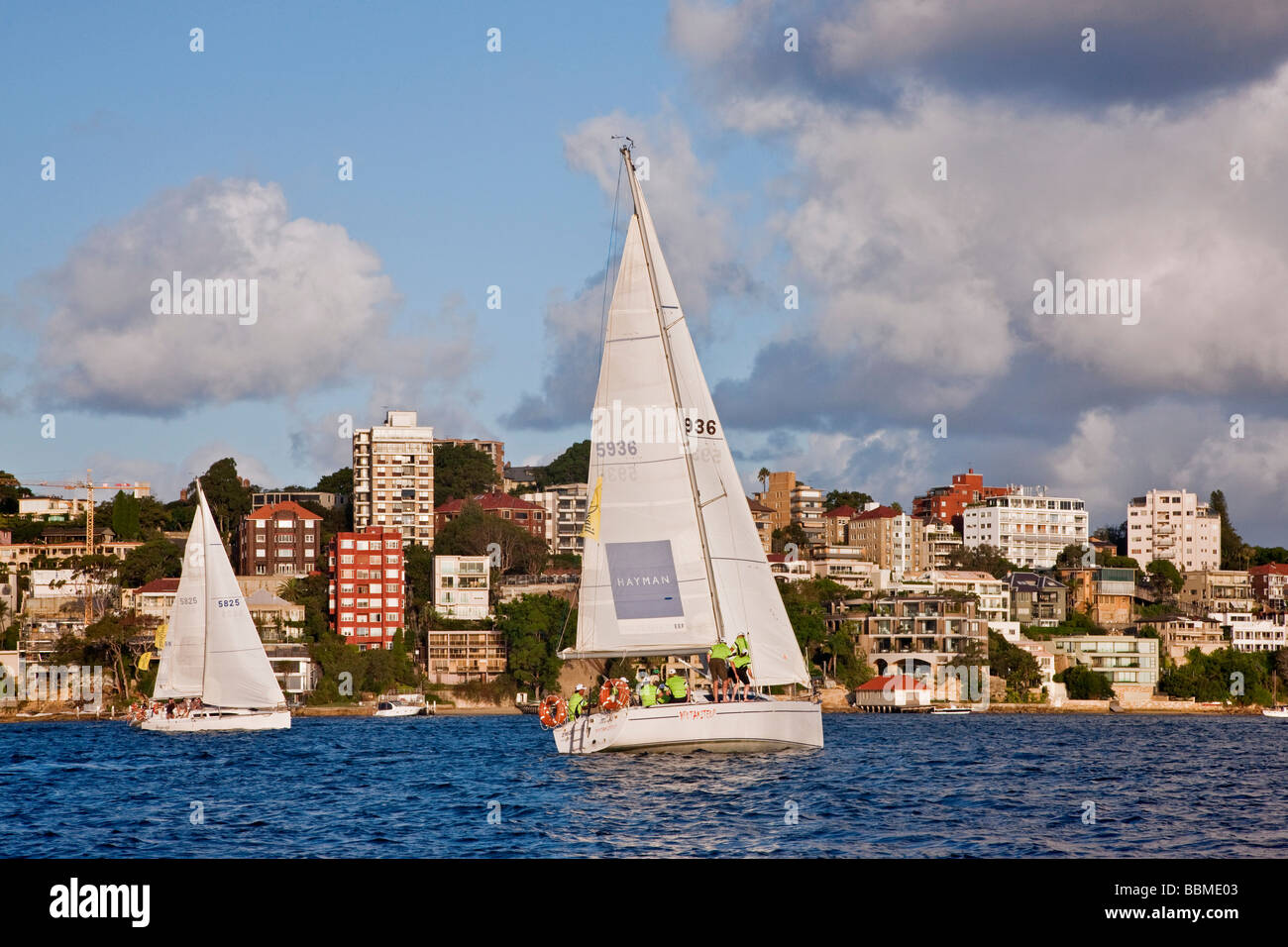 New South Wales in Australien. Segeln am späten Nachmittag aus Double Bay im Hafen von Sydney. Stockfoto