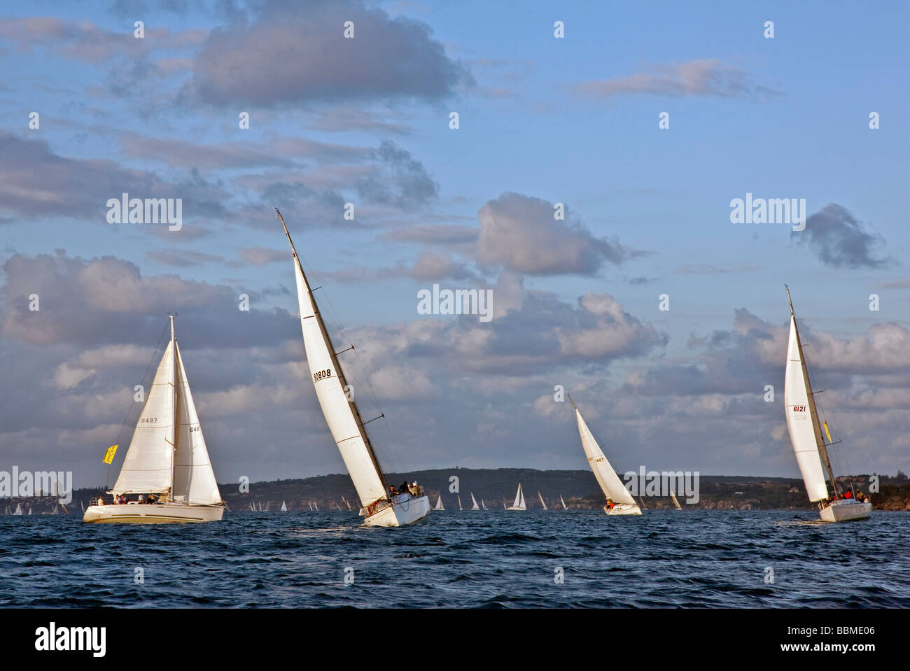 New South Wales in Australien. Segeln am späten Nachmittag im Hafen von Sydney. Stockfoto