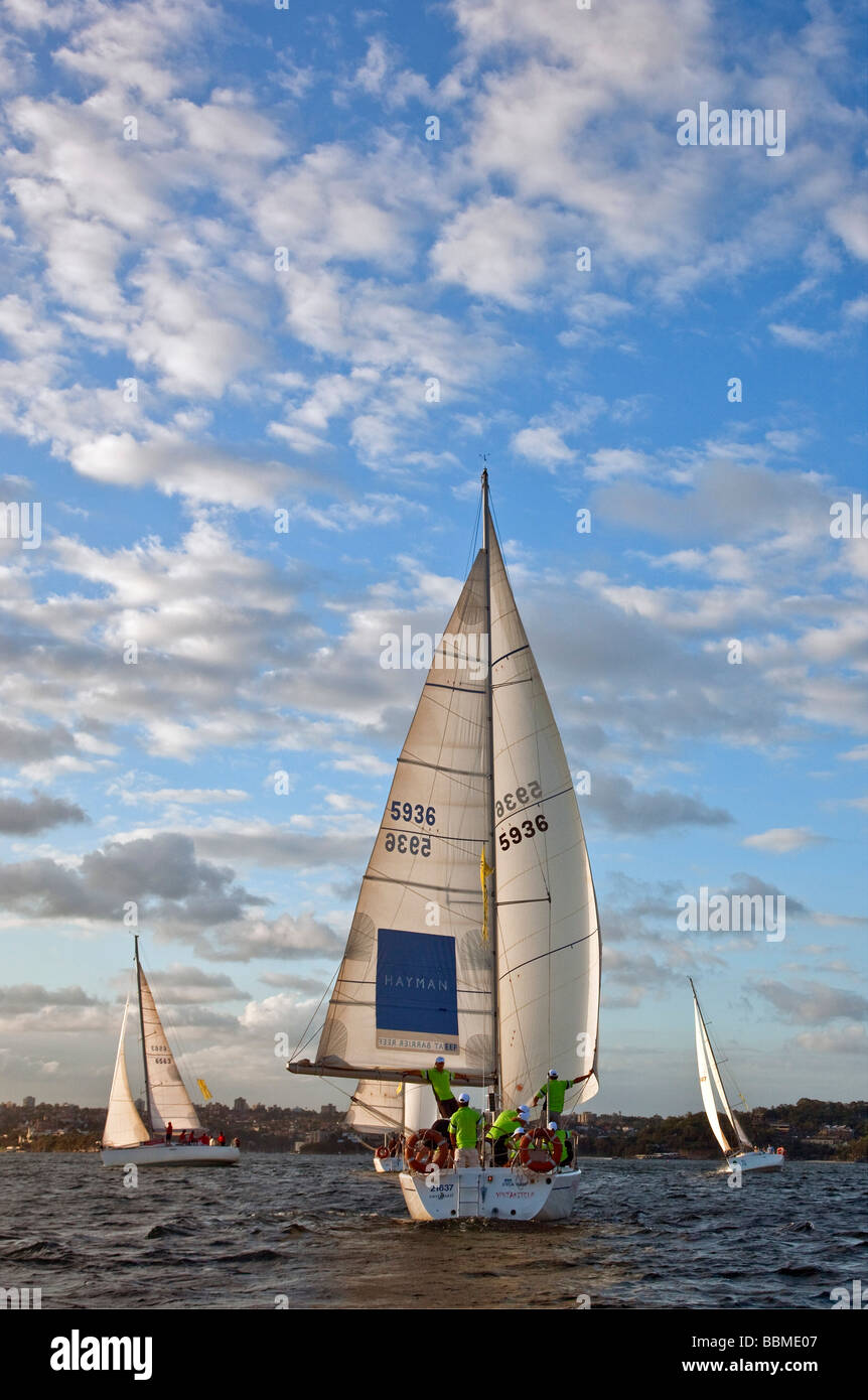 New South Wales in Australien. Segeln am späten Nachmittag im Hafen von Sydney. Stockfoto