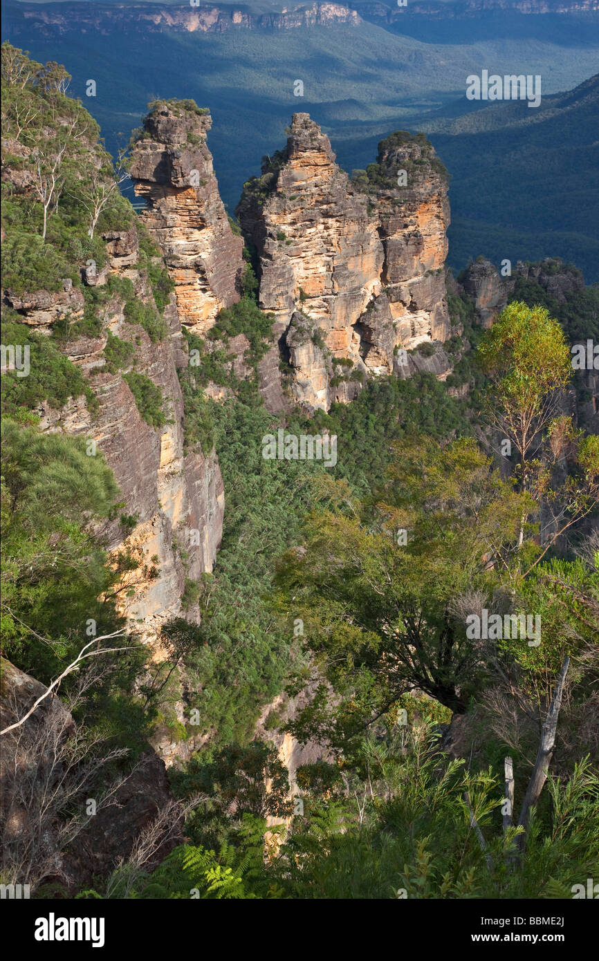 New South Wales in Australien. Die berühmten Three Sisters Felsformation in den Blue Mountains in der Nähe von Katoomba. Stockfoto