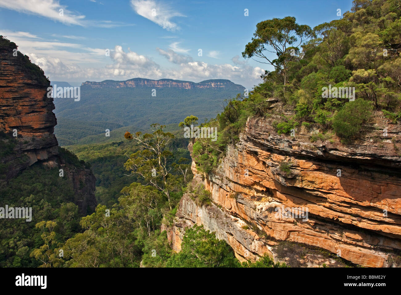 New South Wales in Australien. Ein Blick auf das Jamison Valley in den Blue Mountains von Prinz Henry Cliff Walk. Stockfoto