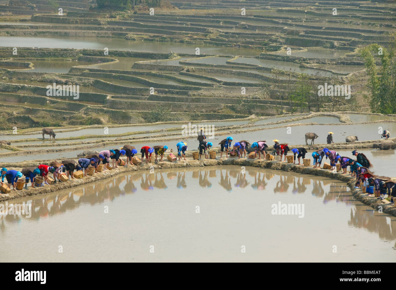 Hani Akha Frauen mit ihren Reiskörben in Yuanyang China Stockfoto