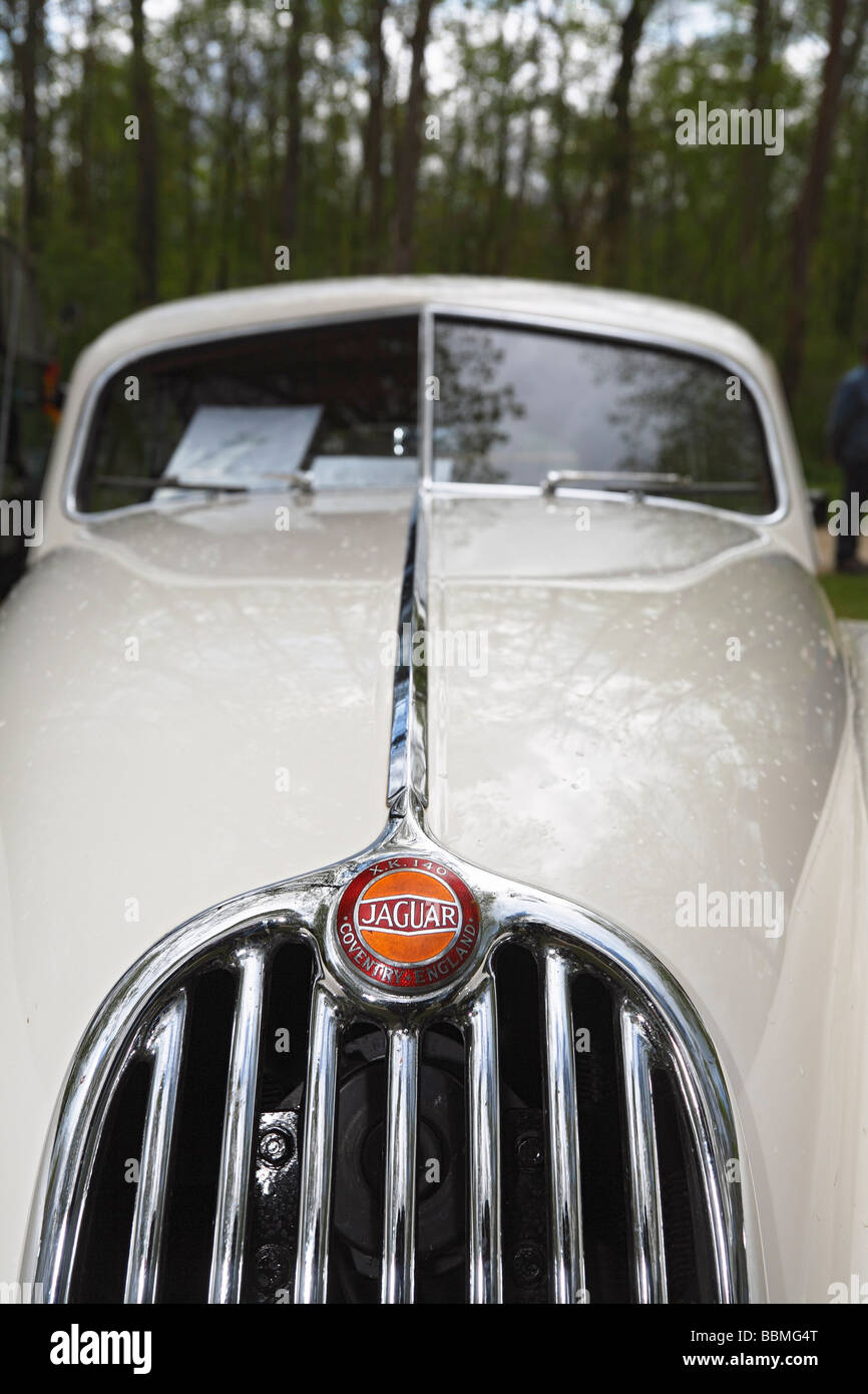 Jaguar XK 140, Oldtimer Stockfoto