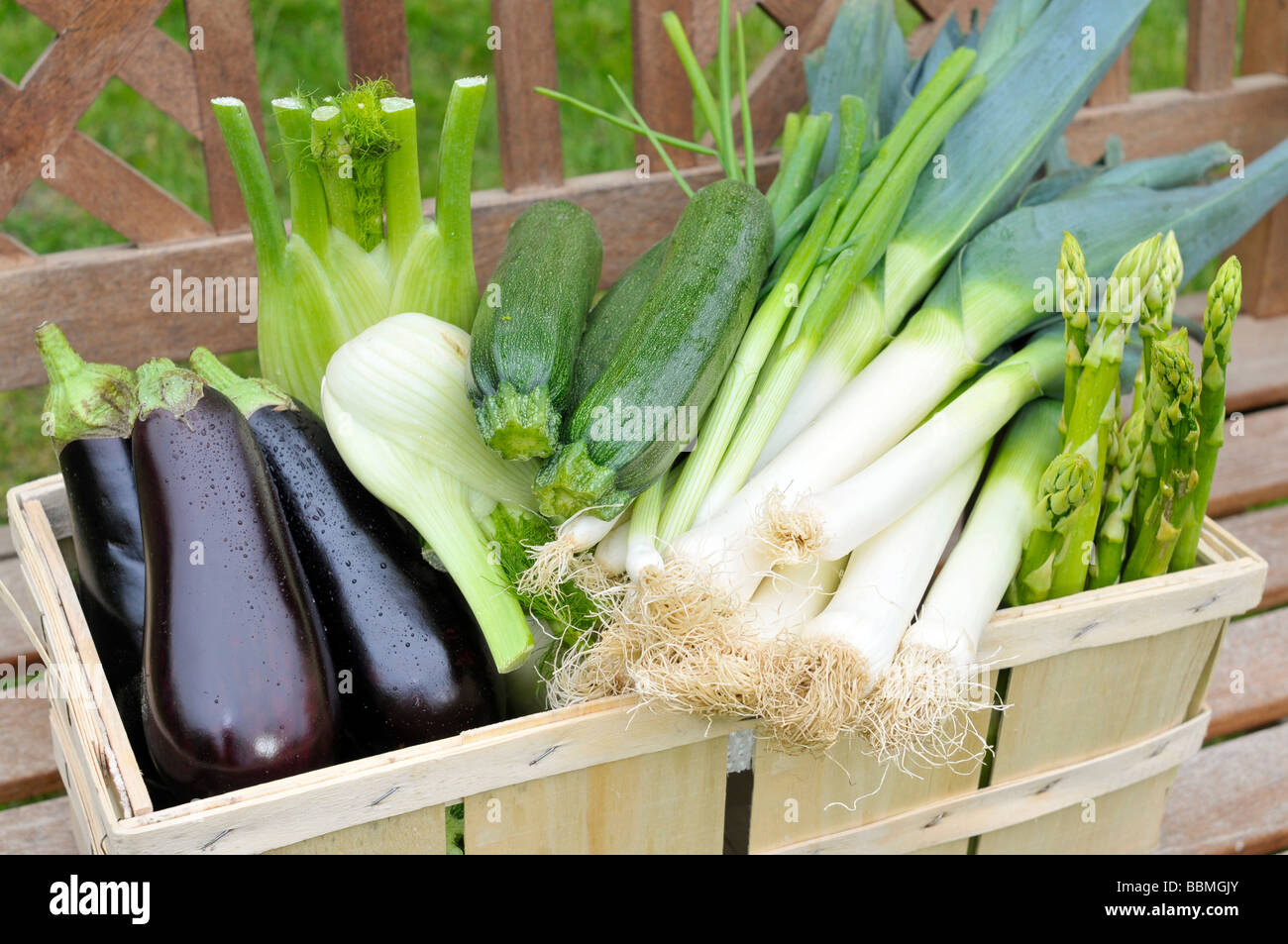 Grüner Spargel, Auberginen, Zucchini, Frühlingszwiebeln, Fenchel, Lauch in einem Korb Stockfoto