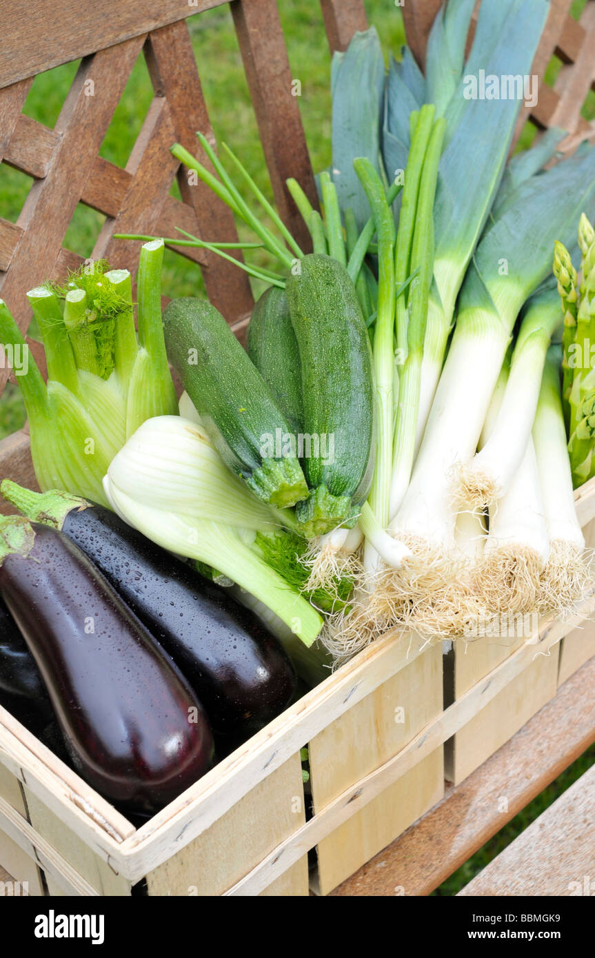 Grüner Spargel, Auberginen, Zucchini, Frühlingszwiebeln, Fenchel, Lauch in einem Korb Stockfoto