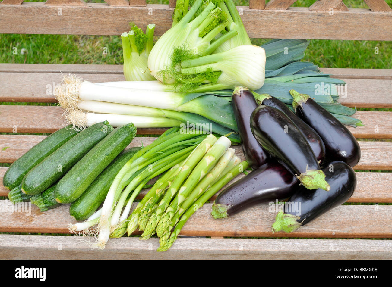 Grüner Spargel, Auberginen, Zucchini, Frühlingszwiebeln, Fenchel, Lauch Stockfoto