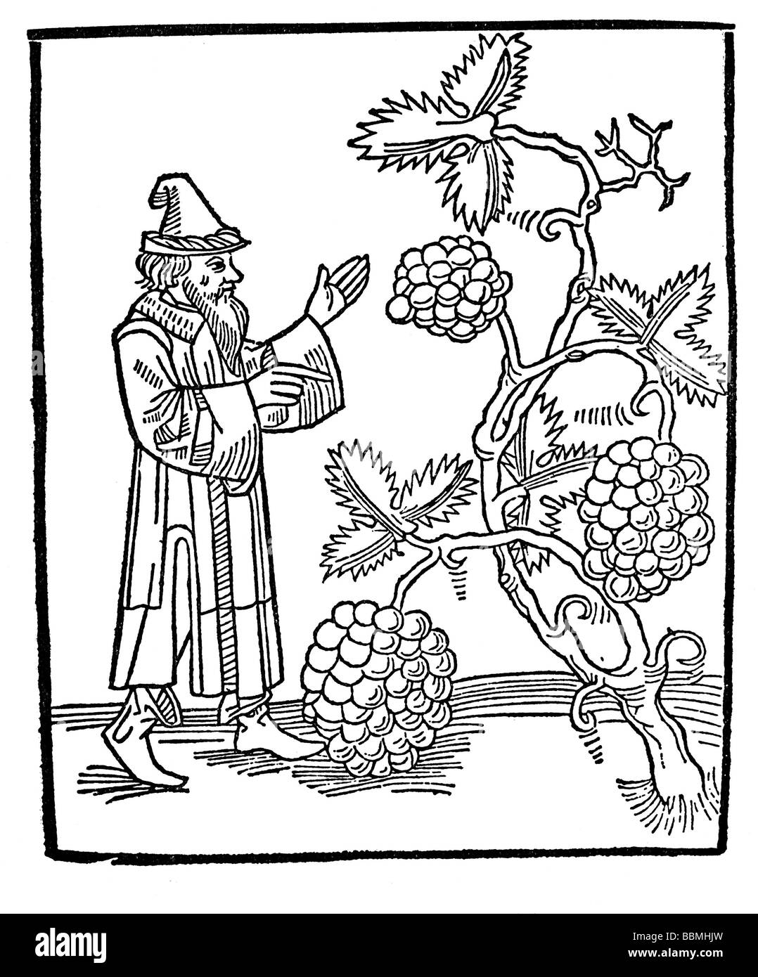 Jüdischen Mann vor Weintrauben in das gelobte Land, Holzschnitzereien aus dem Mittelalter Stockfoto