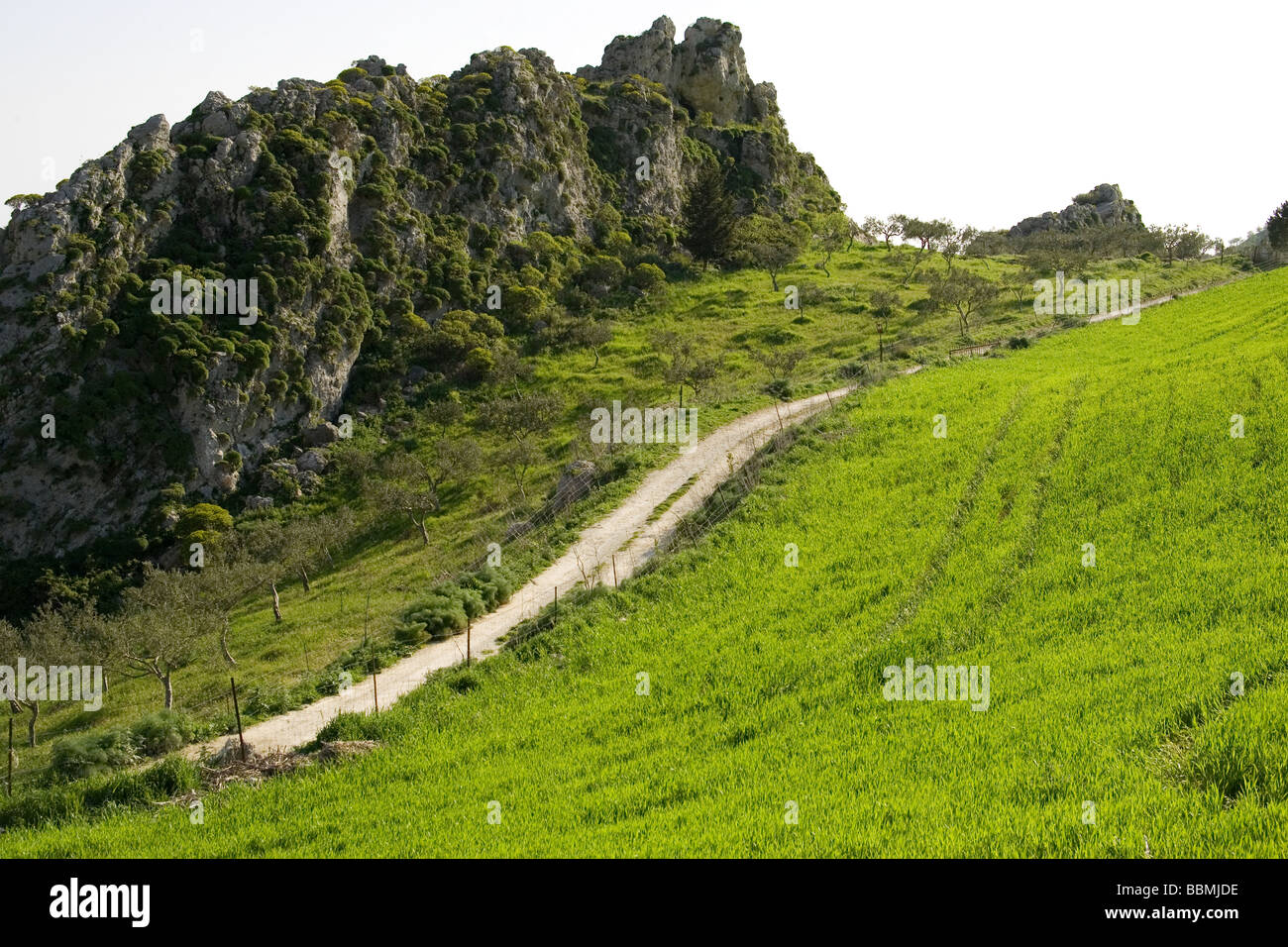 grüne Felder weiß Feldweg betrieben Landwirtschaft Agrigento Provinz Sizilien Italien Stockfoto