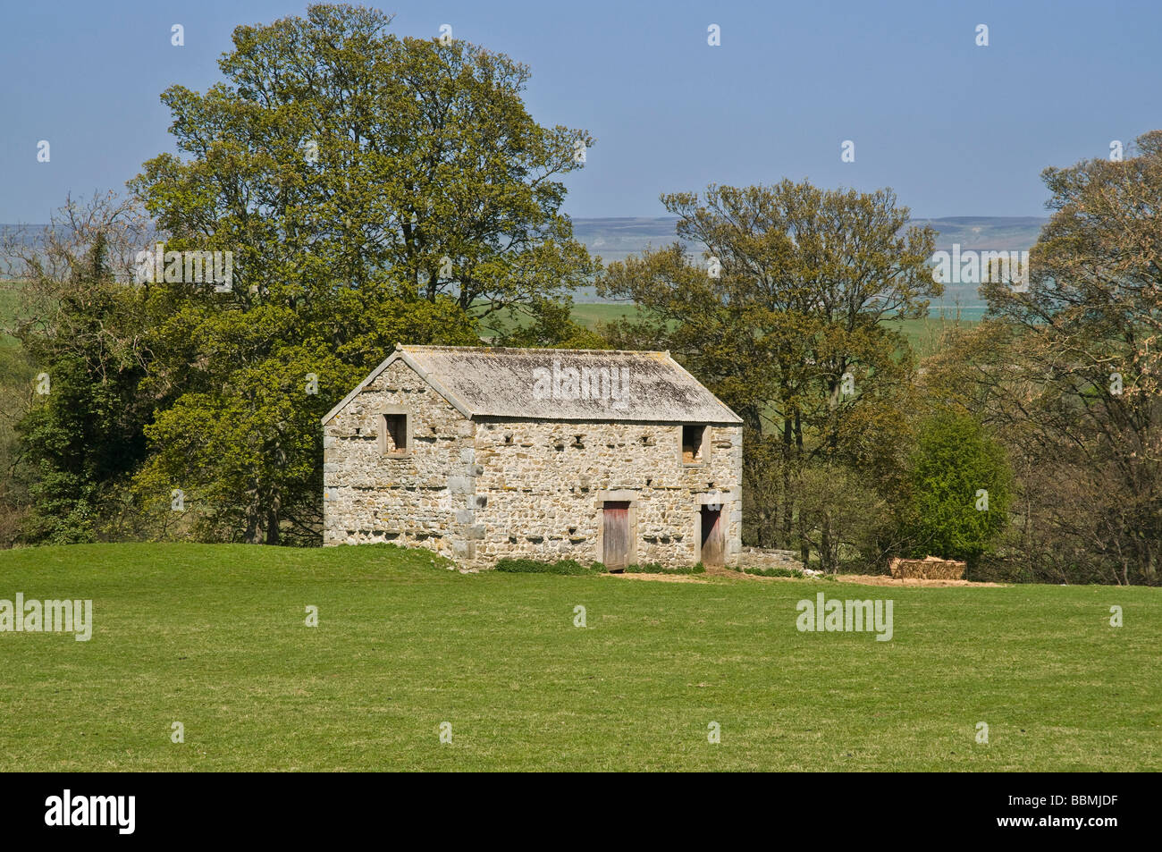 dh Yorkshire Dales National Park WENSLEYDALE NORTH YORKSHIRE traditionelle Dales Steinfarm Feld Scheune landwirtschaftliche Scheunen ländlichen Gebäude großbritannien Stockfoto