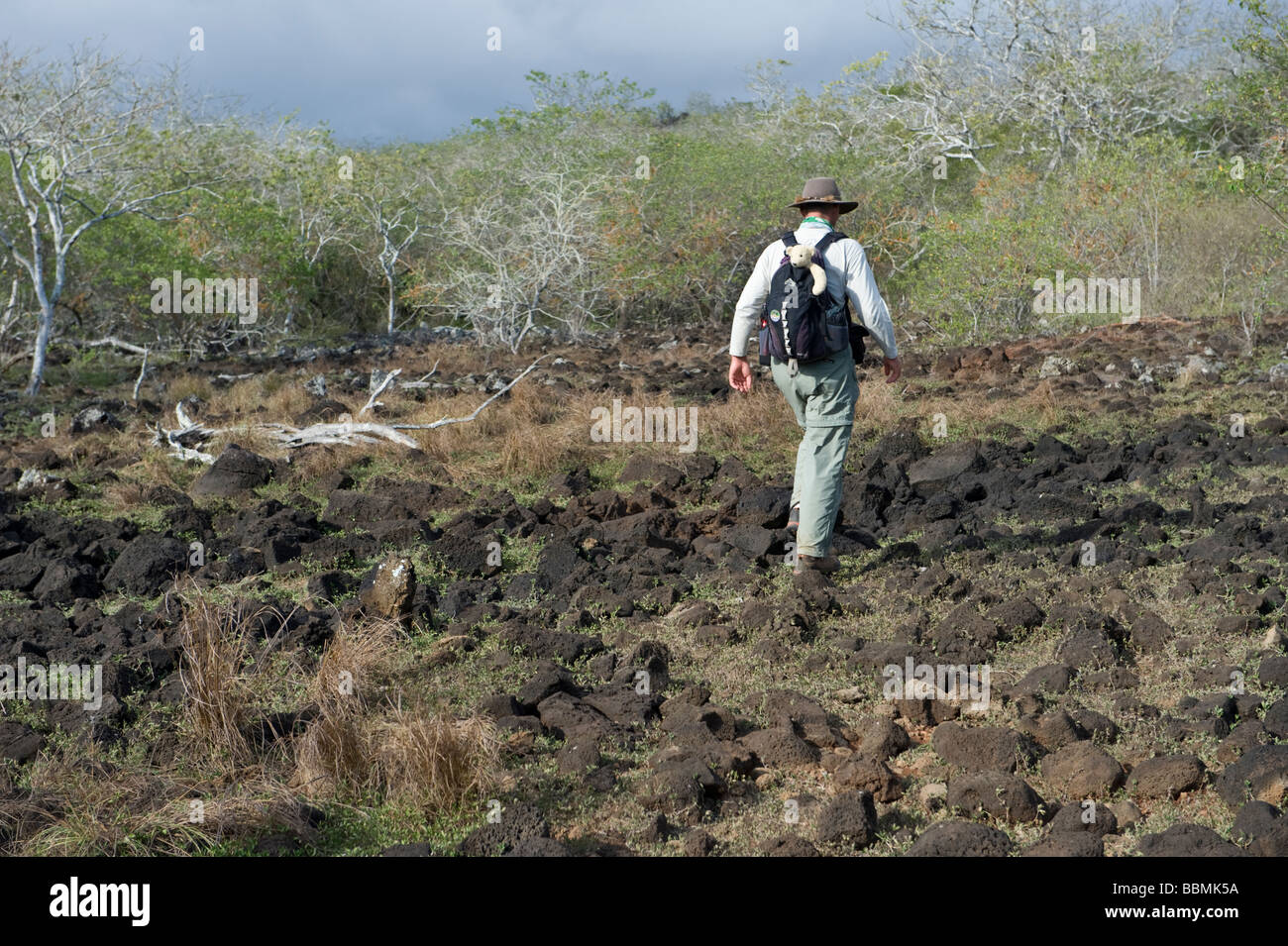 Daniel Fitter Natur führen Galapaquera la Media Luna San Christobal Galapagos Inseln Ecuador Pazifik Südamerika Stockfoto