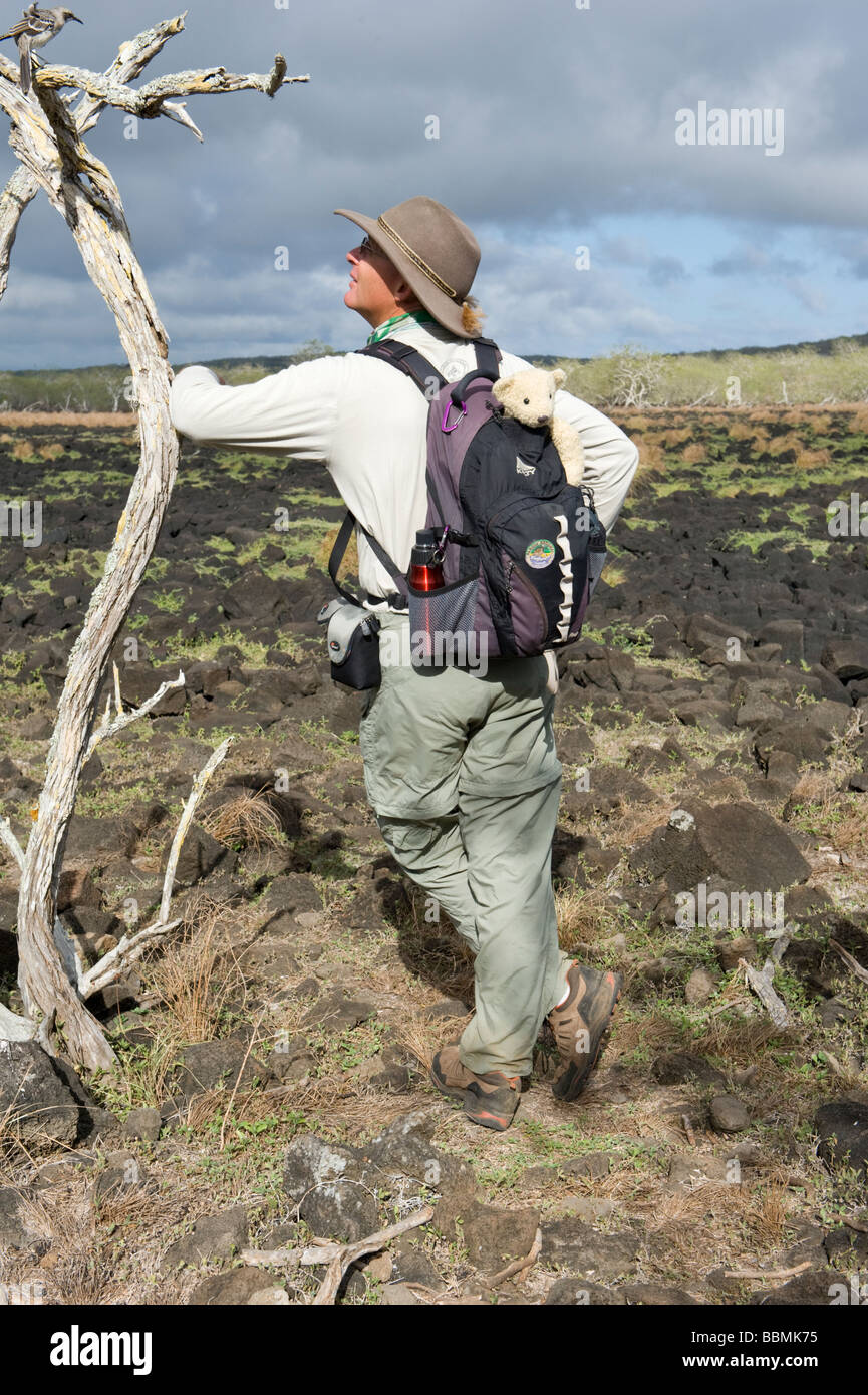 Danie Monteur Naturführer und Autor betrachten Chattam Mockingbird zählt Melanotis la Galapaquera Media Luna San Christobal Stockfoto