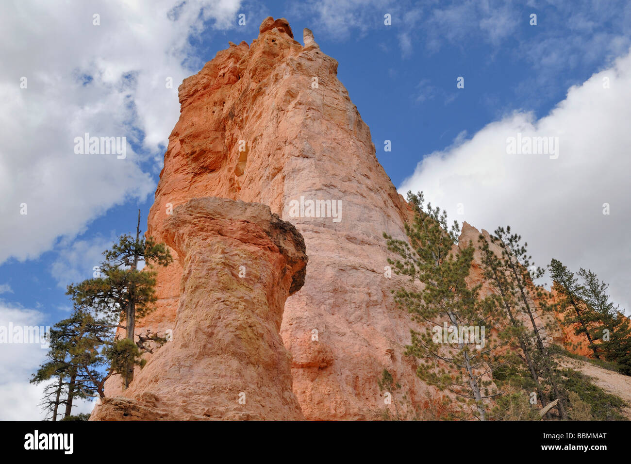 Kalkstein Felsen Nadeln, Hoodoos, Bryce-Canyon-Nationalpark, Utah, USA Stockfoto