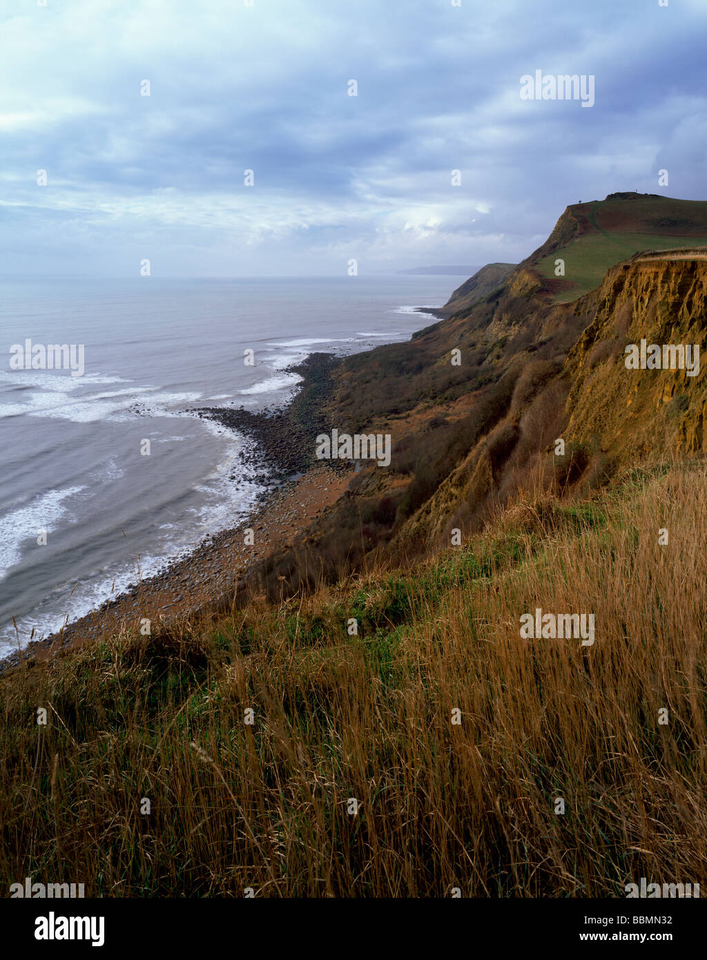 Die Klippen entlang der Monarch an eype's Mouth in Richtung Thorncombe Rundumleuchte und große Ebbe auf der Jurassic Coast in der Nähe von Dorset Bridport, England suchen Stockfoto