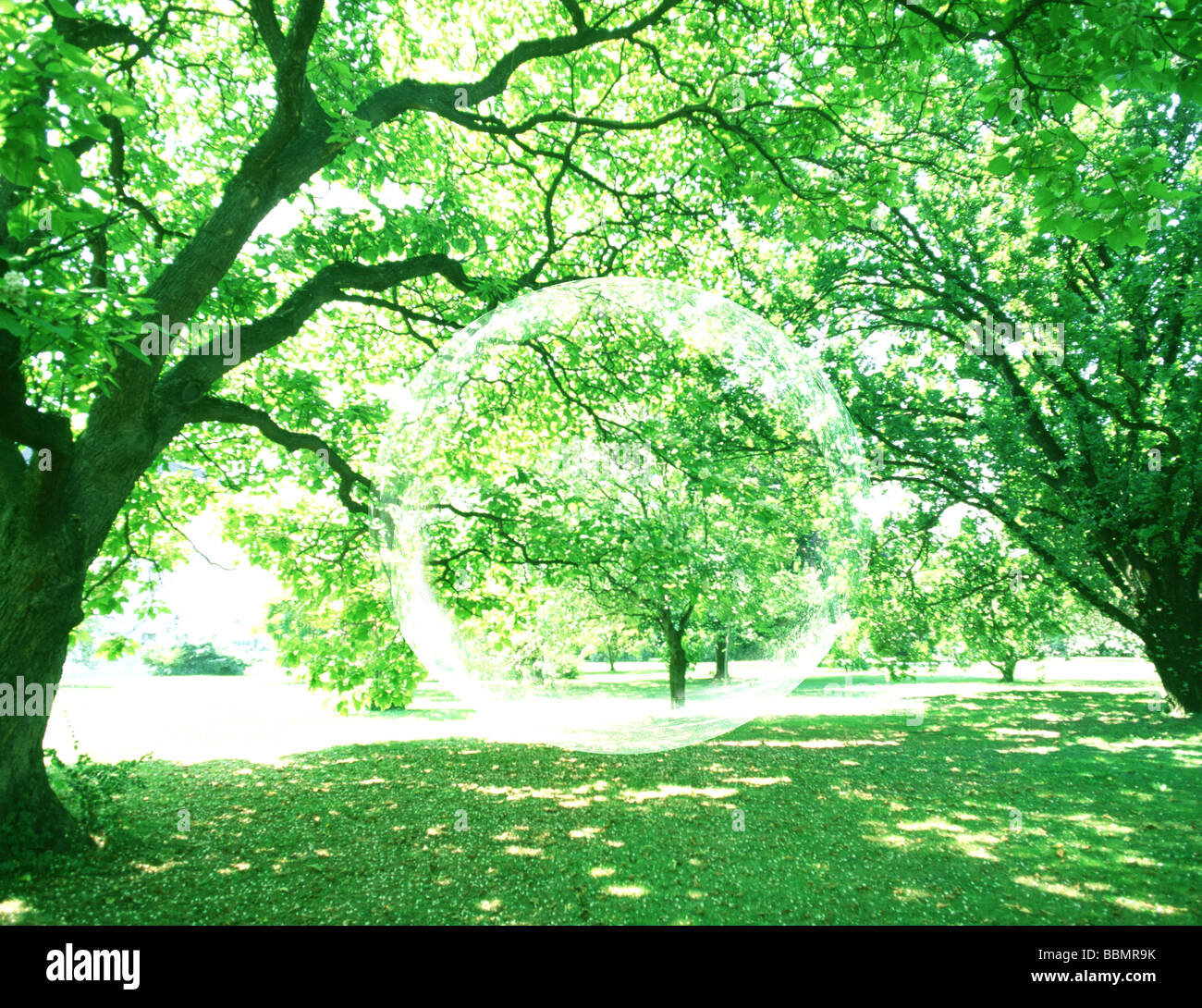 Ansicht der Luftblase inmitten von Bäumen (digital Composite) Stockfoto