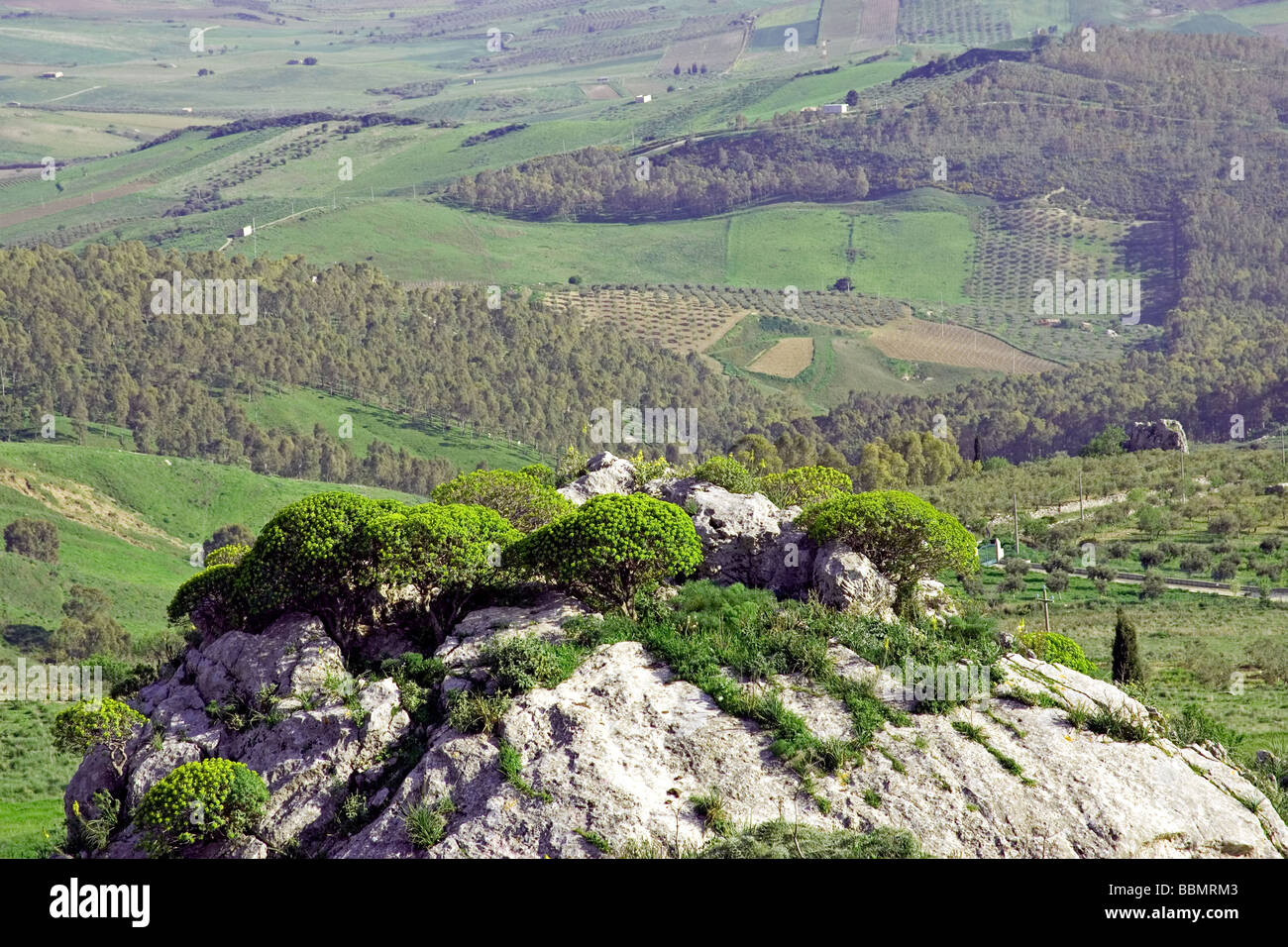 Berg Landschaft grüne Felder gelben Blumen Farmen Landwirtschaft Agrigento Provinz Sizilien Italien Stockfoto