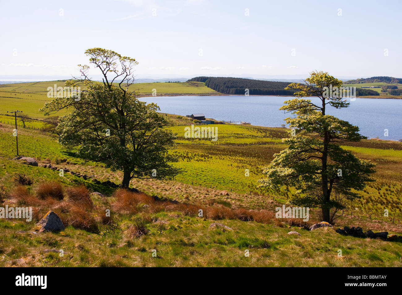 Ballo Reservoir in der Lomond Hills Fife Schottland Stockfoto