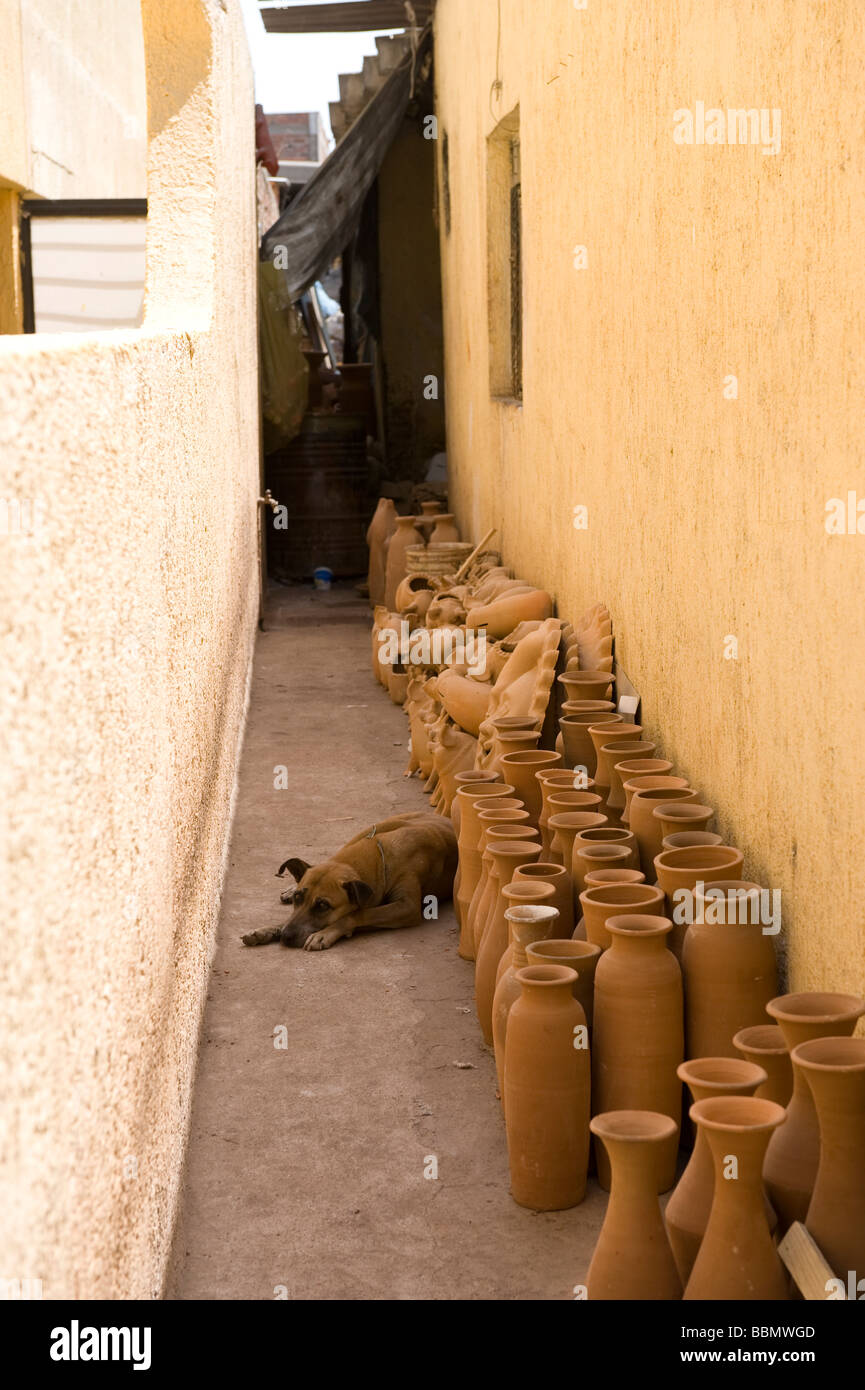 Schlafender Hund neben Zeilen der mexikanische Keramik in Tonala, Jalsico. Stockfoto