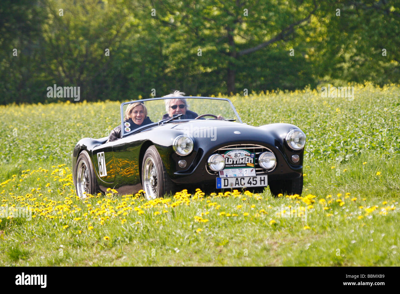 AC Bristol, Baujahr 1957, Vorgänger des AC Cobra, Rarität, motor Oldtimerrallye Wiesbaden 2009, Hessen, Deutschland, Europa Stockfoto