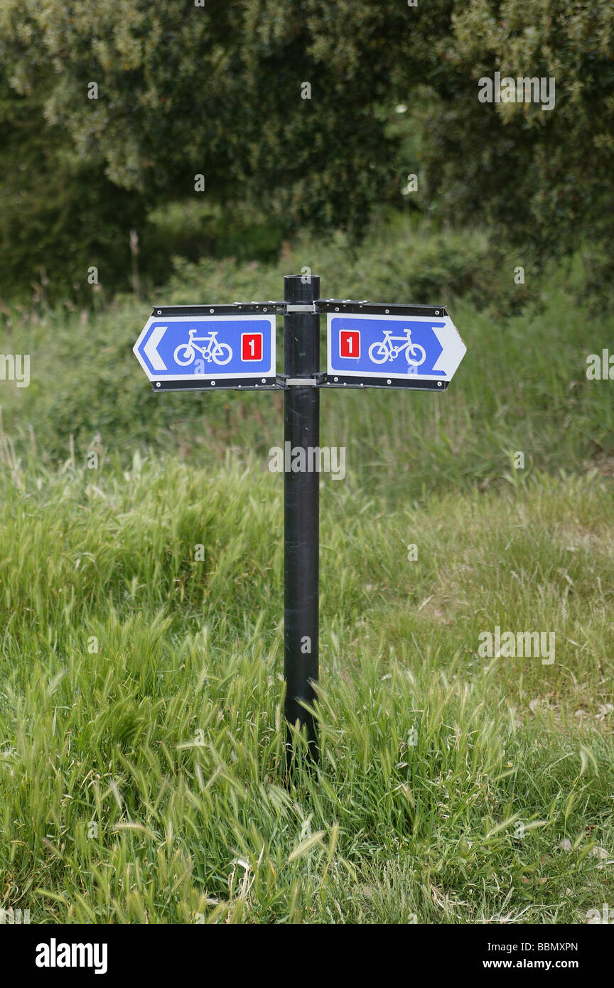 Melden Sie ein Radweg. Stockfoto