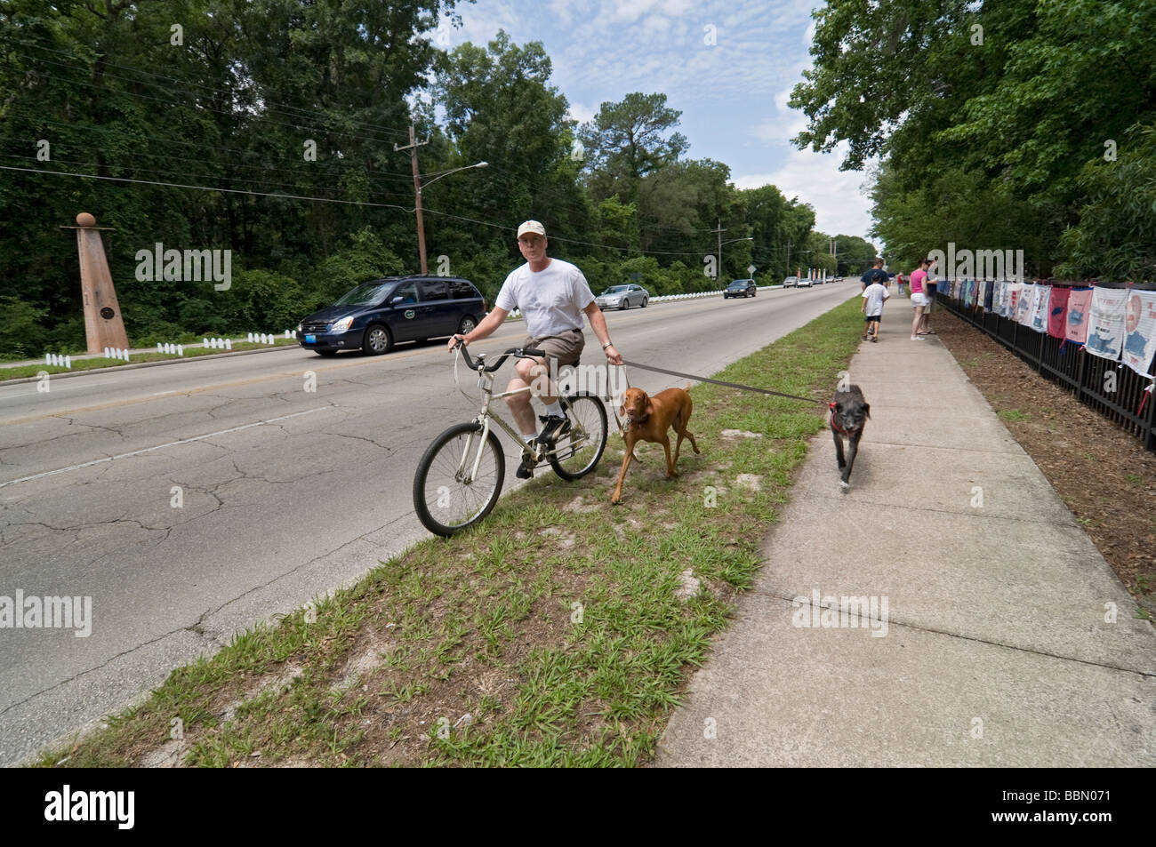 Mann, der sein Fahrrad und seine beiden Hunde an der Leine, Gainesville, Florida walking/laufen Stockfoto