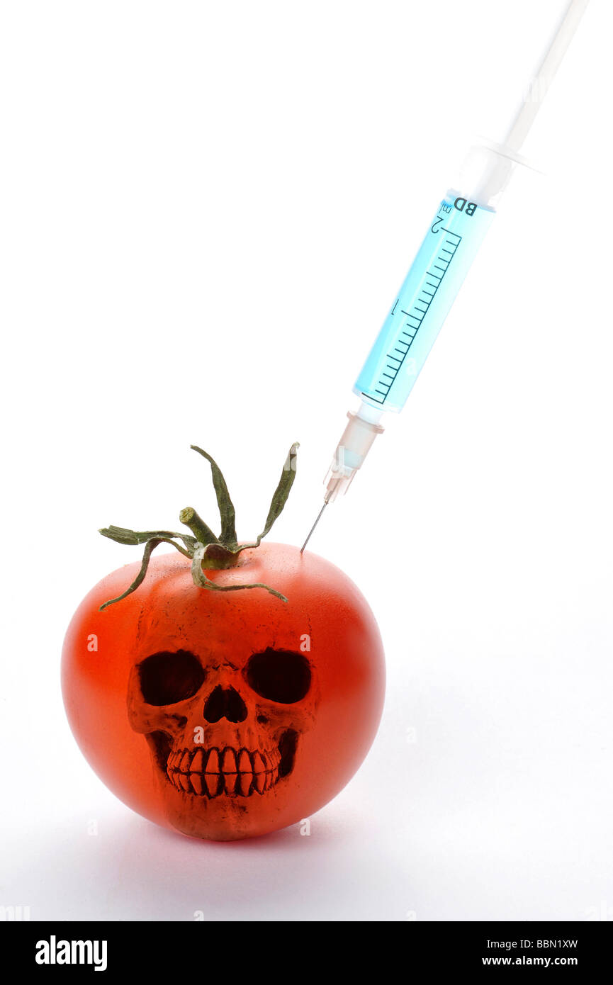 Spritze in Tomate, symbolisches Bild für genetisch veränderte Lebensmittel Stockfoto