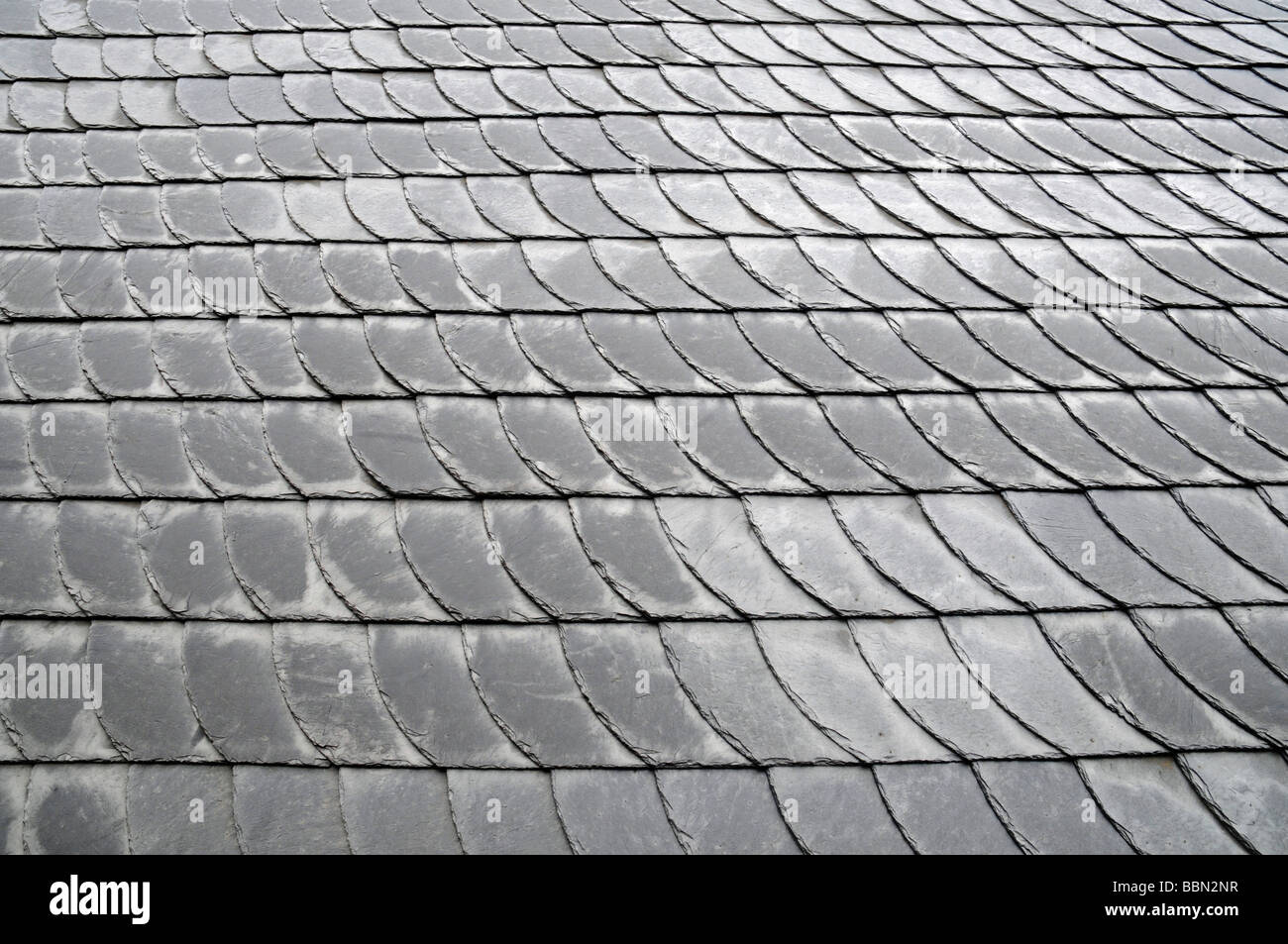 Alten Dachschiefer, Schiefer, Schiefer-Verkleidung, Fassade, Wand, Struktur, Nahaufnahme, Altstadt, Hattingen, NRW, Nordrhein-Westphali Stockfoto