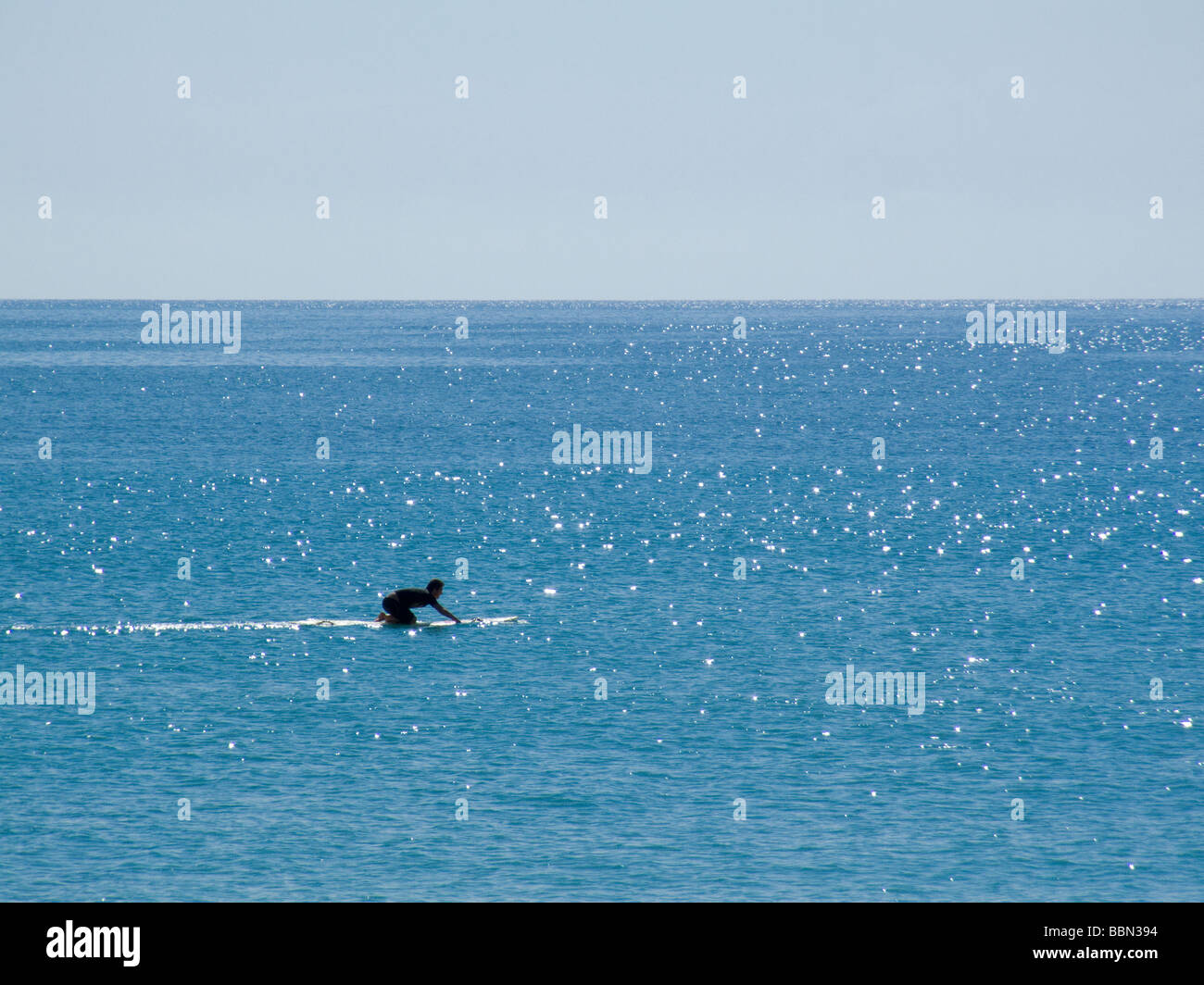 Paddeln im Ozean auf Surfbrett Surfer Stockfoto