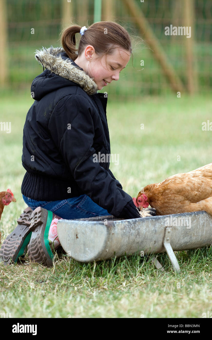 Mädchen, Fütterung der Hühner auf dem Bauernhof, Cheriton, Hampshire, UK. Stockfoto