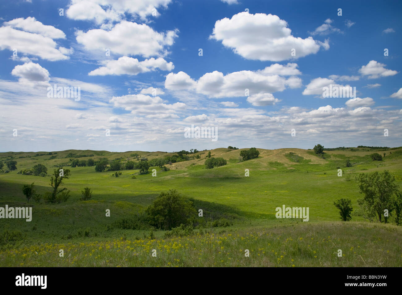 Loess Hügel, gebrochen Wasserkocher Grasland (ein Preserve The Nature Conservancy), Plymouth County, Iowa Stockfoto