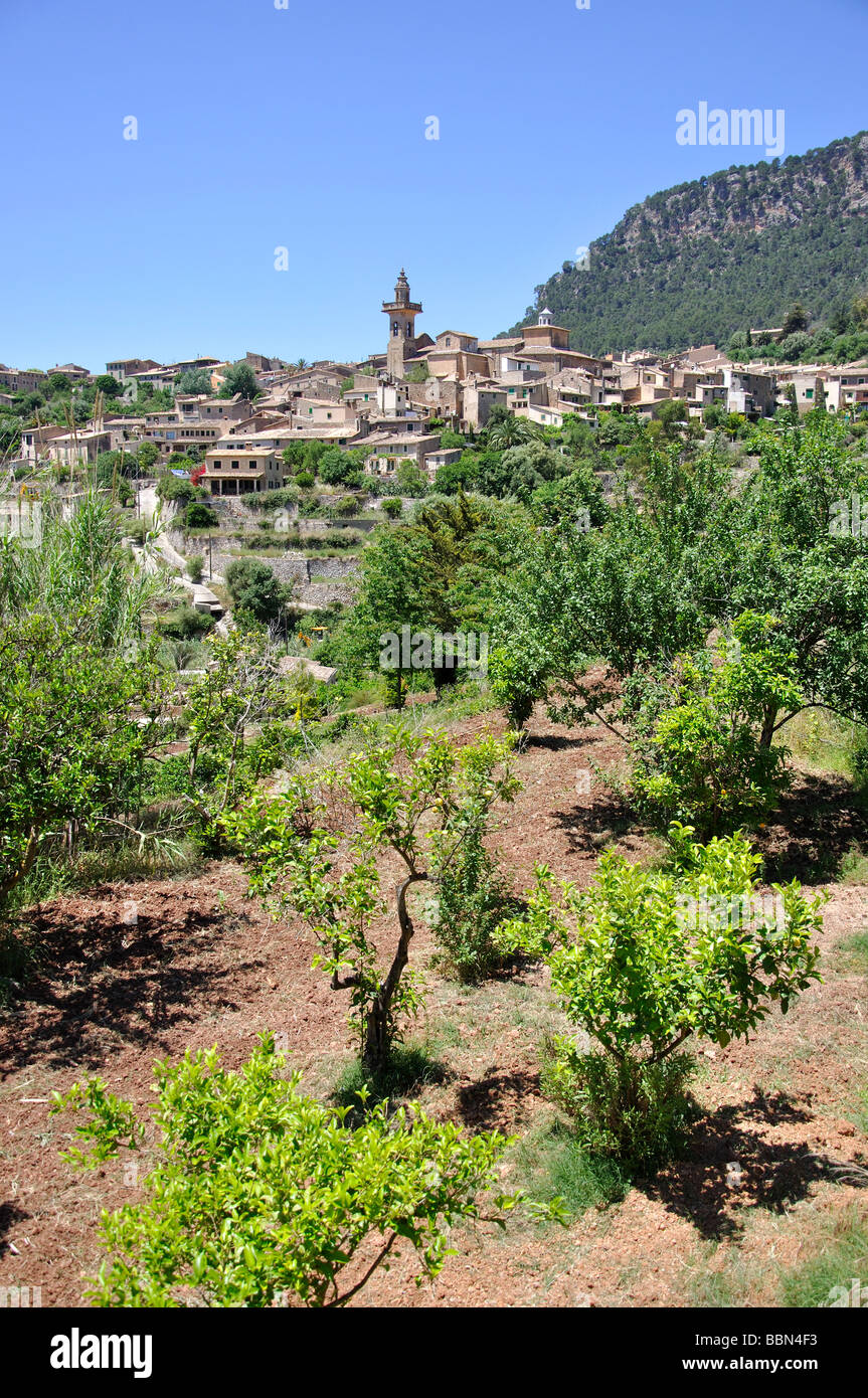 Hügel Dorf Valldemossa, Gemeinde Valldemossa, Mallorca, Balearen